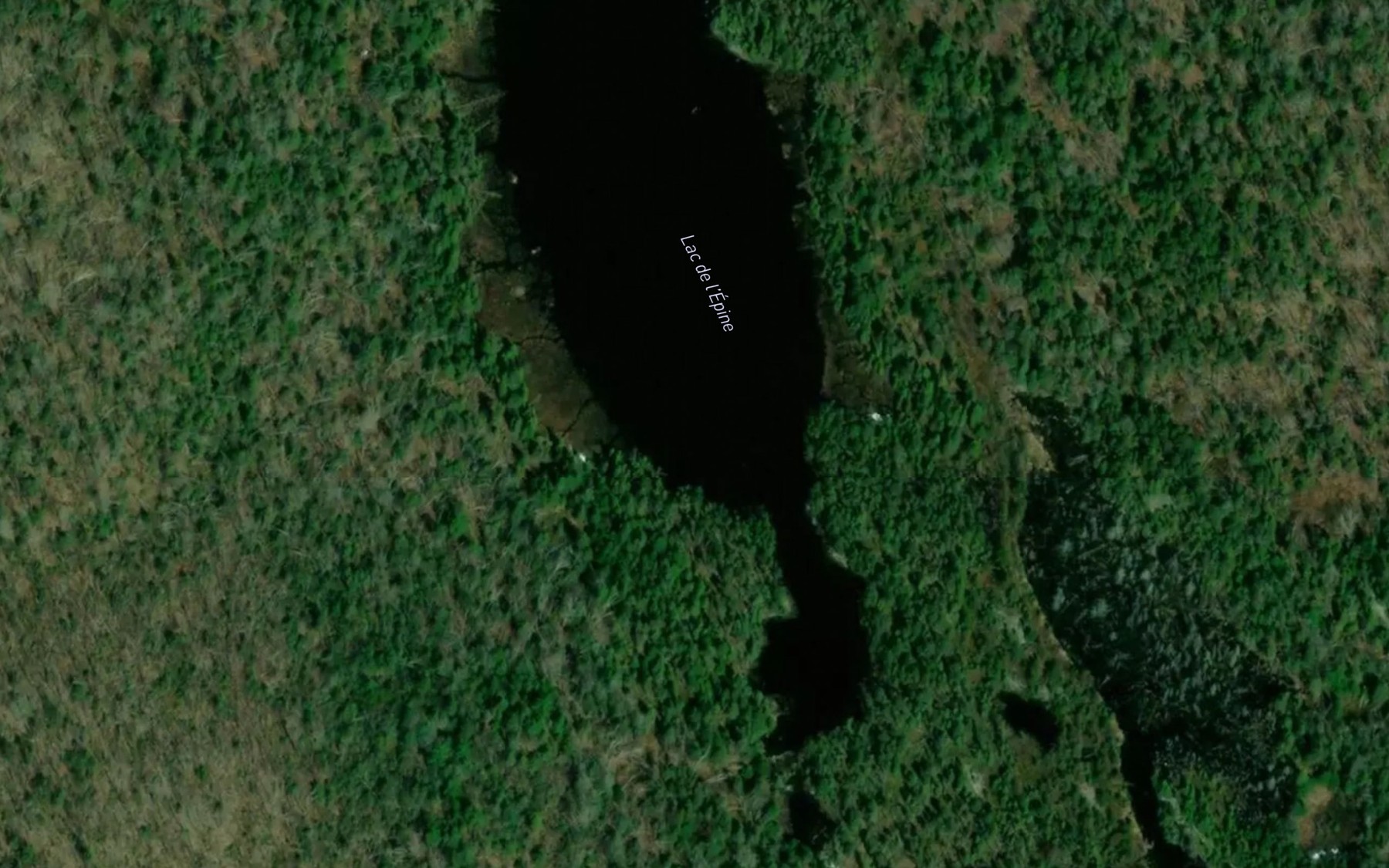 Satellite map of the Lac de l'Epine