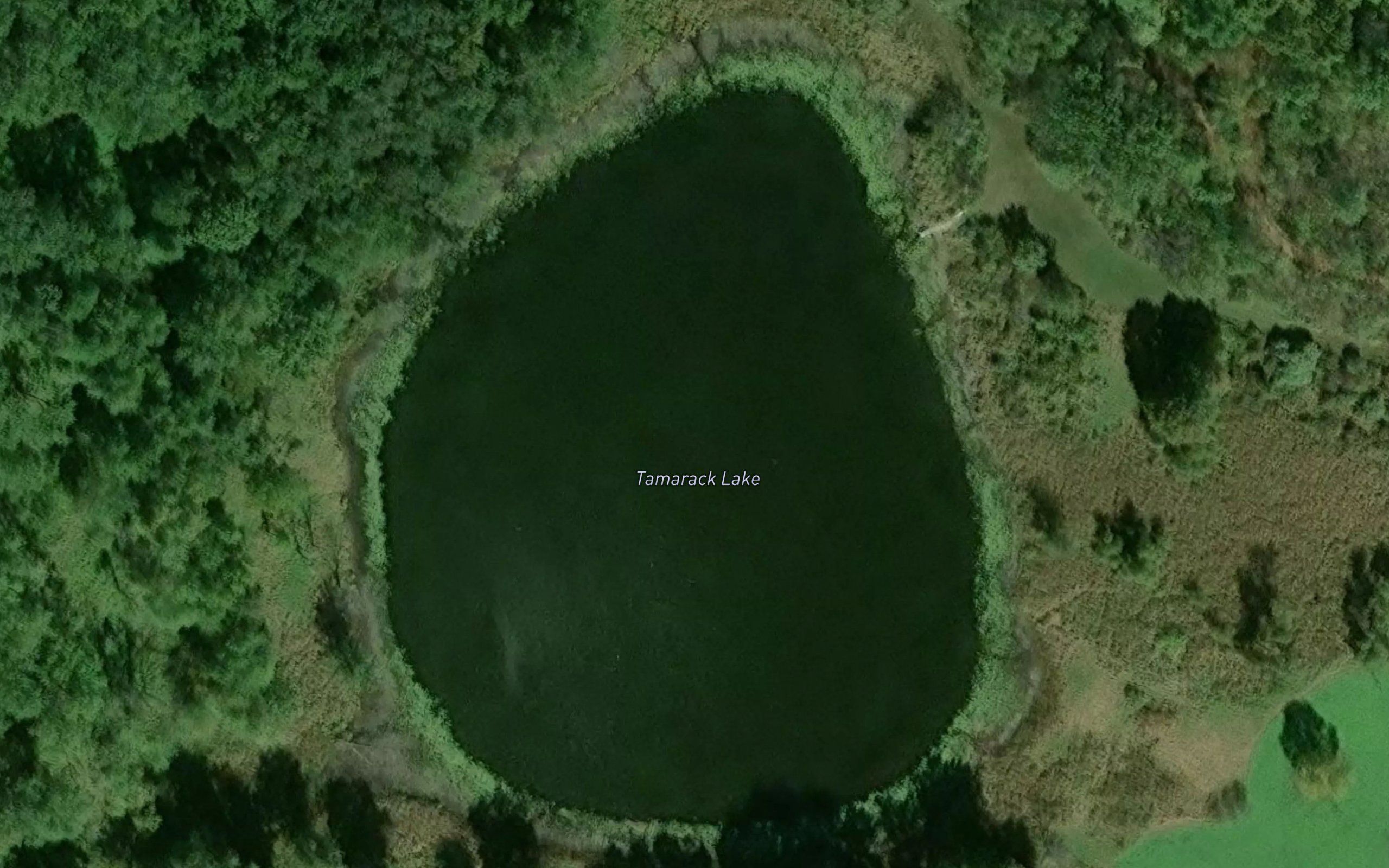 Tamarack Lake