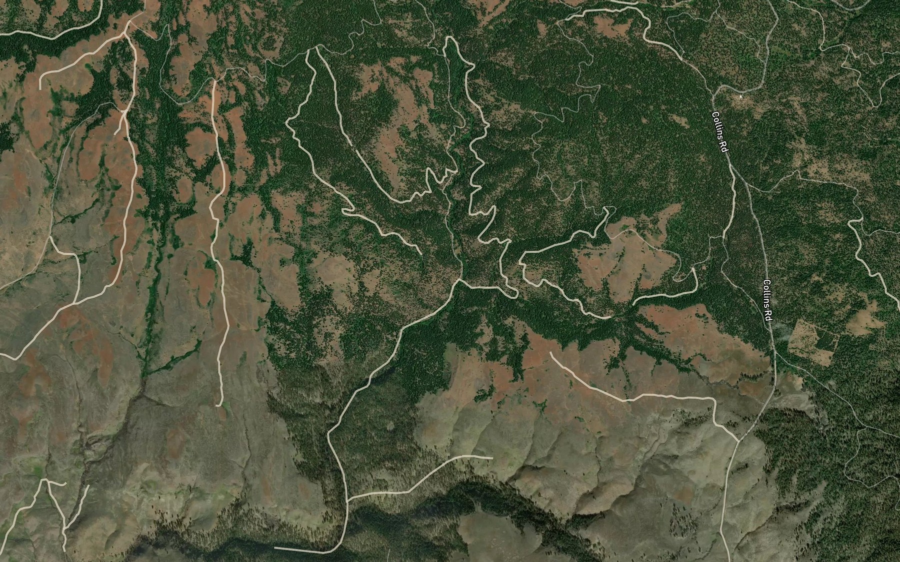 Satellite map of the Forshey Creek
