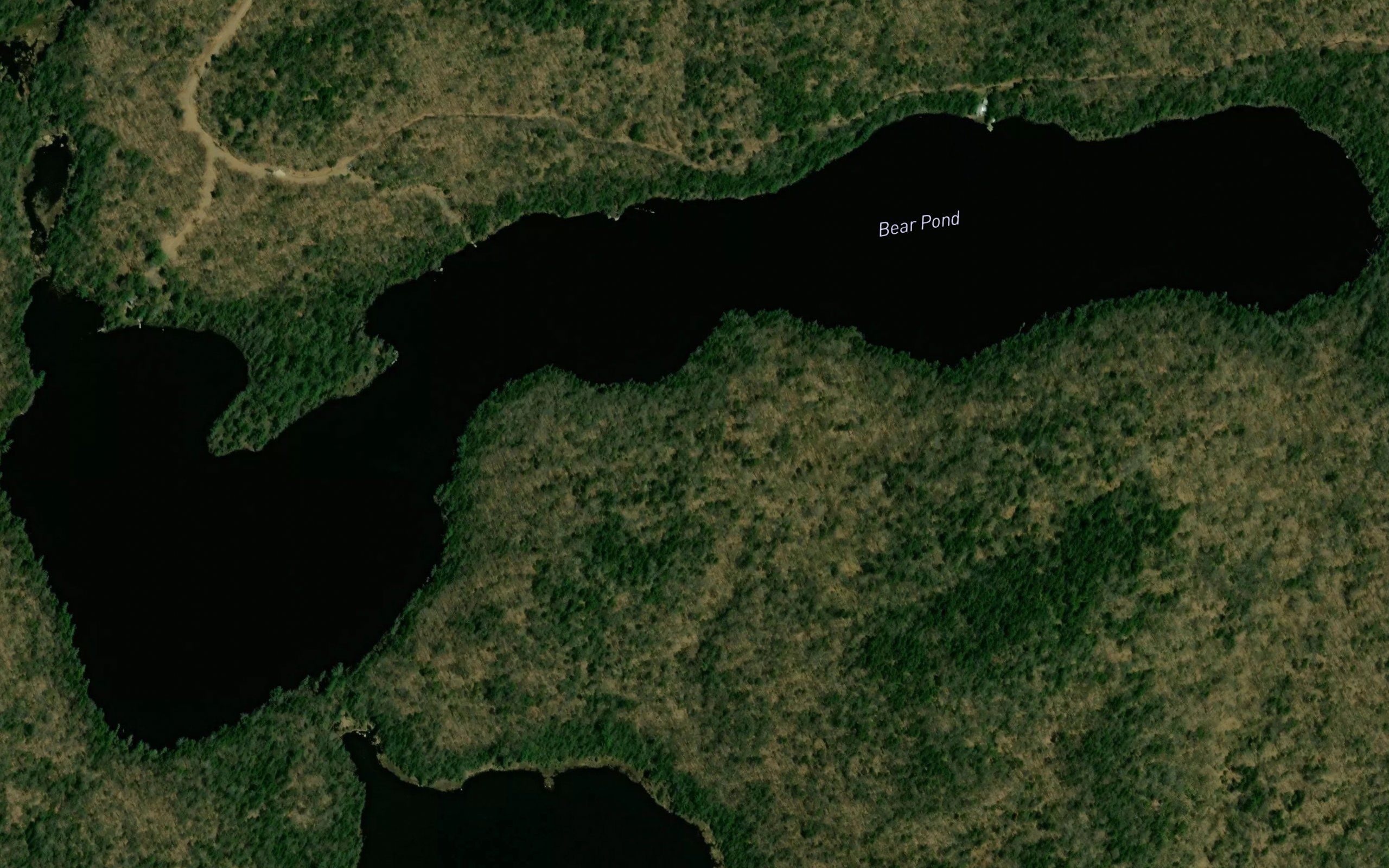 Bear Pond