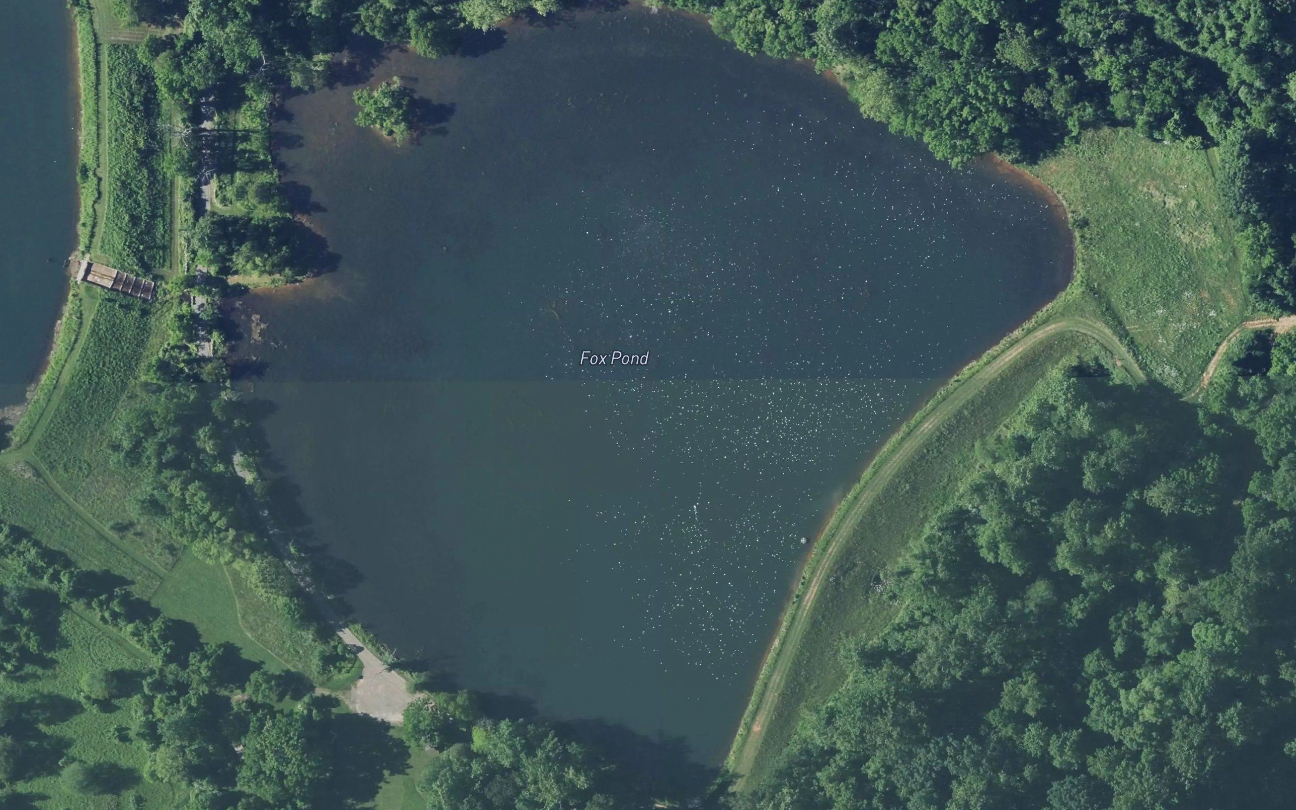 Fox Pond