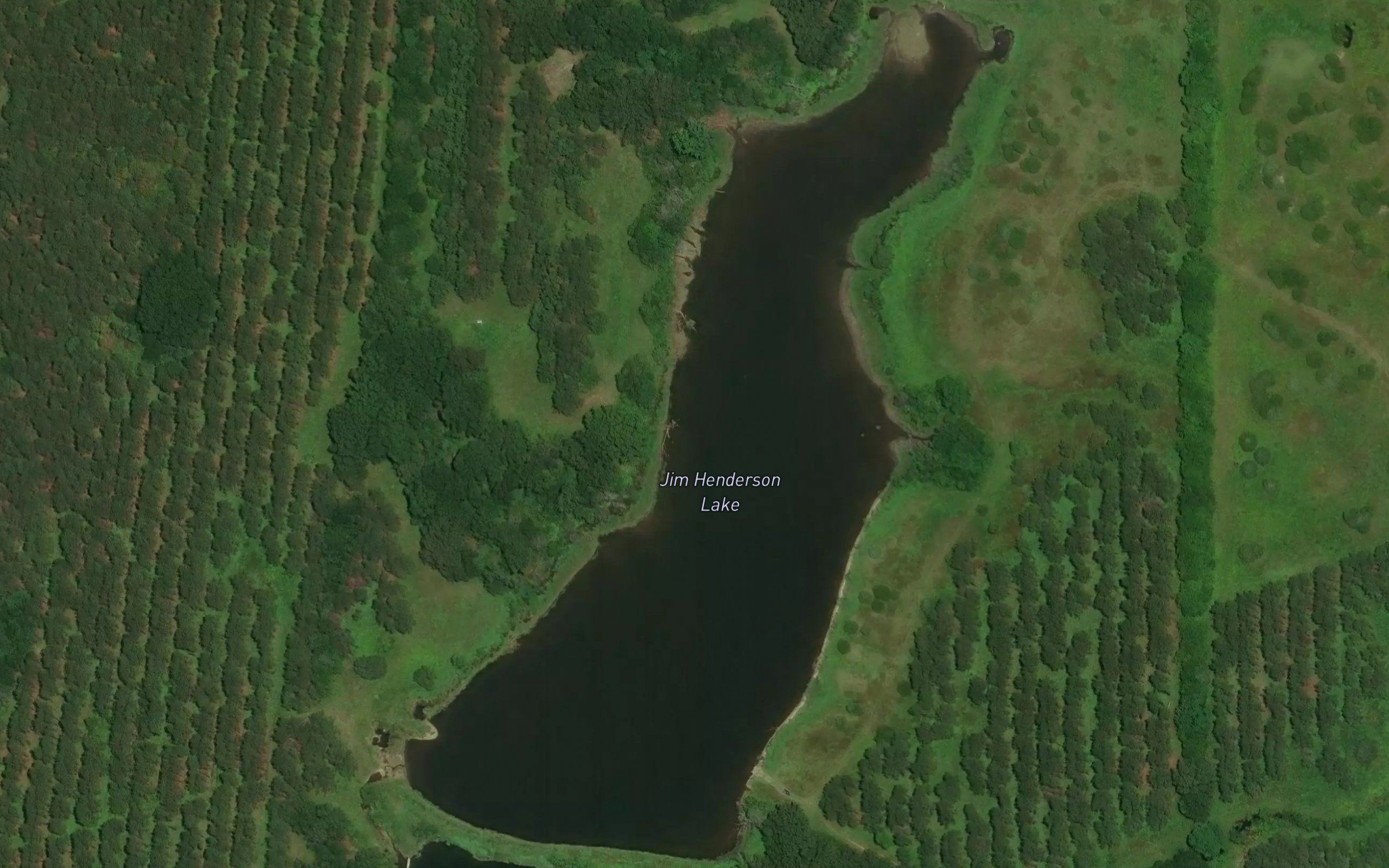 Jim Henderson Lake