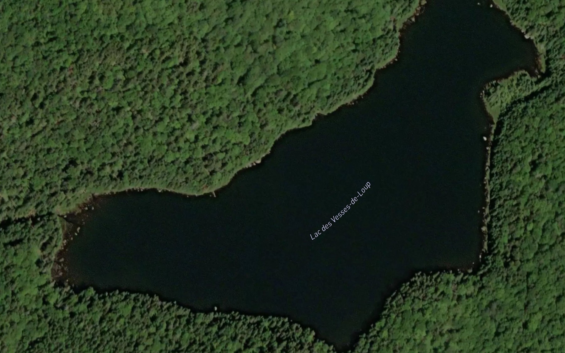 Satellite map of the Lac des Vesses-de-Loup