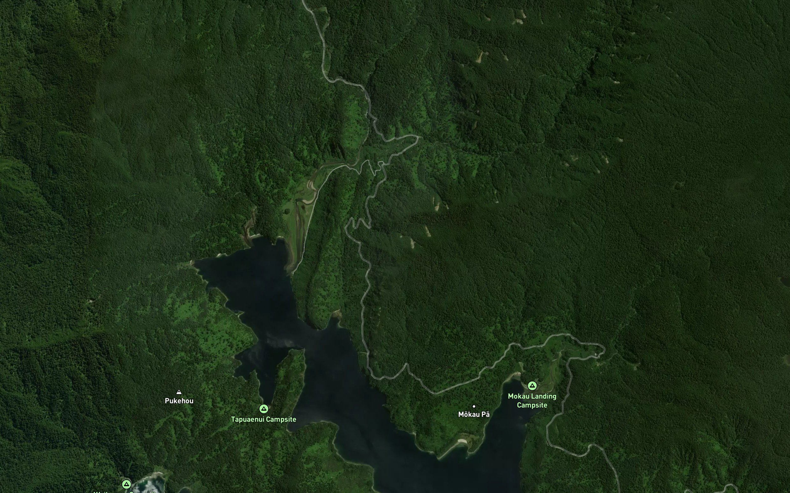 Waihirere Stream