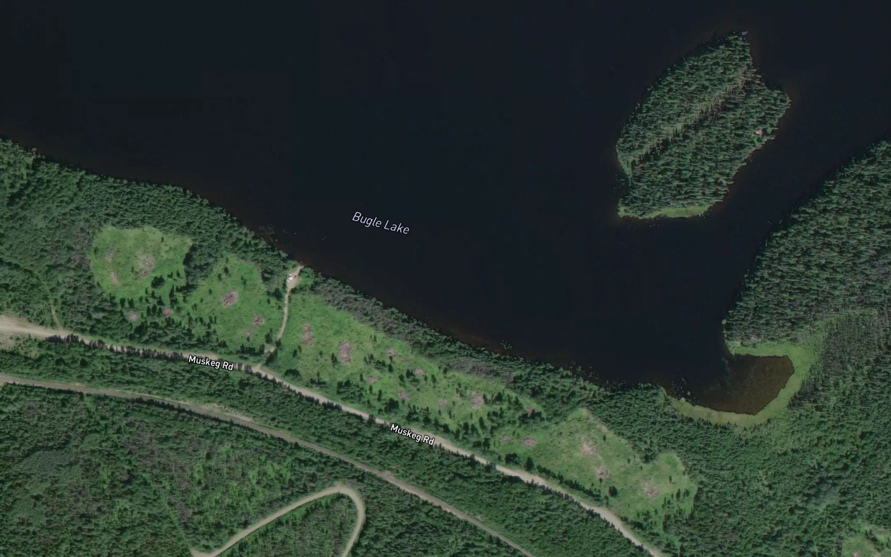 Satellite map of the Bugle Lake