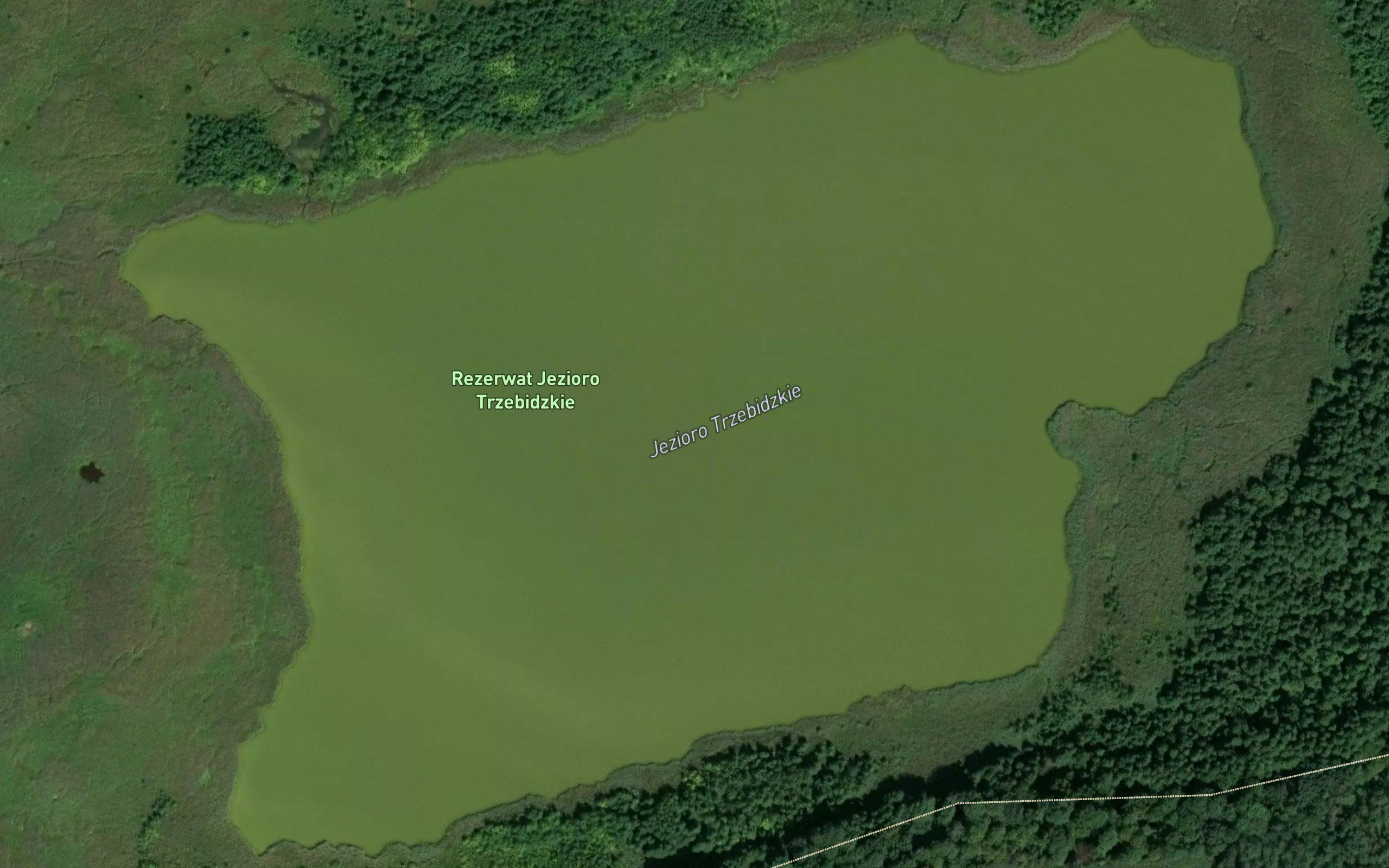 Jezioro Trzebidzkie