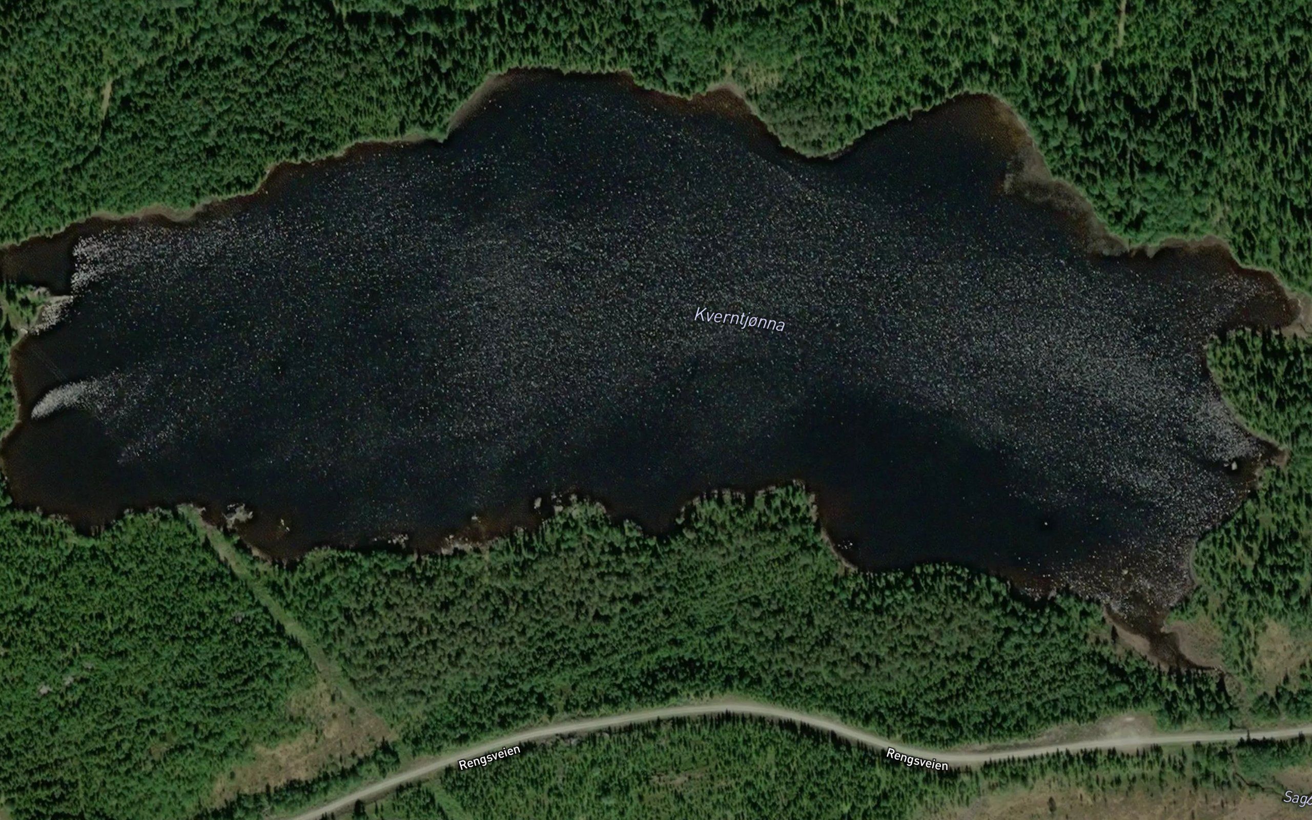 Kverntjorna
