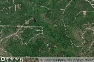 Lewis Williams Branch