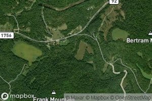 The Frank Spring