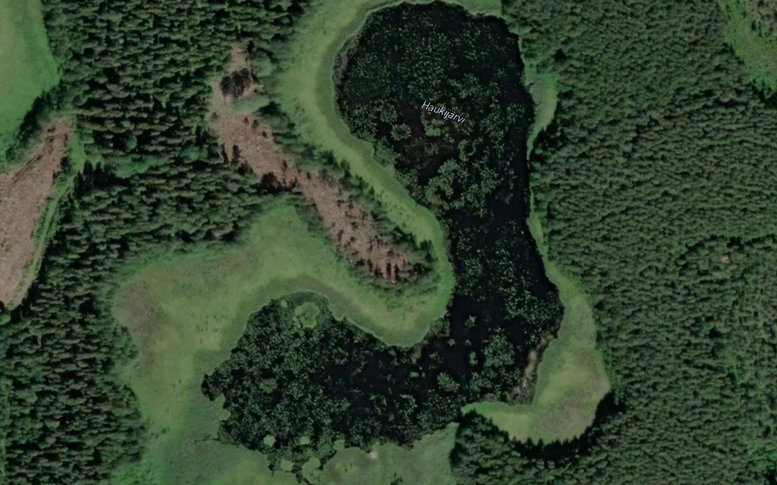 Haukijaervi