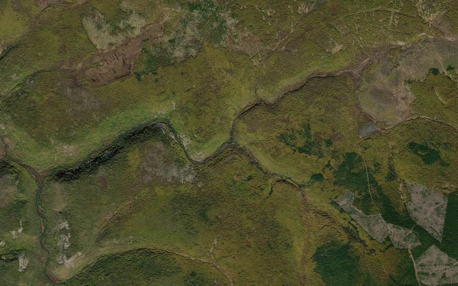 Satellite map of the Kamenistyy