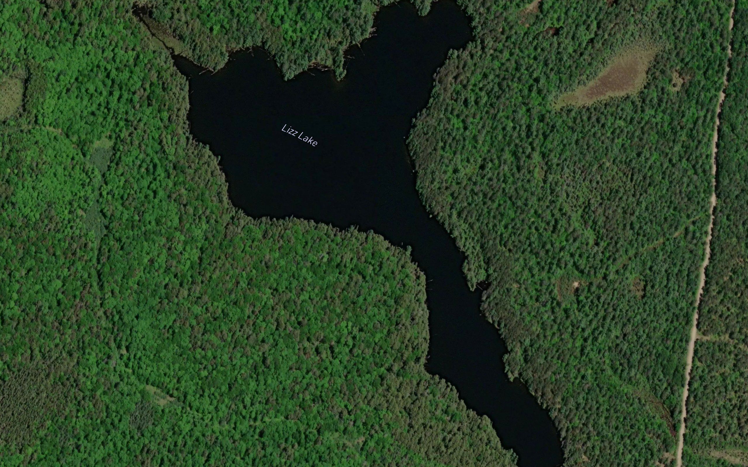 Lizz Lake