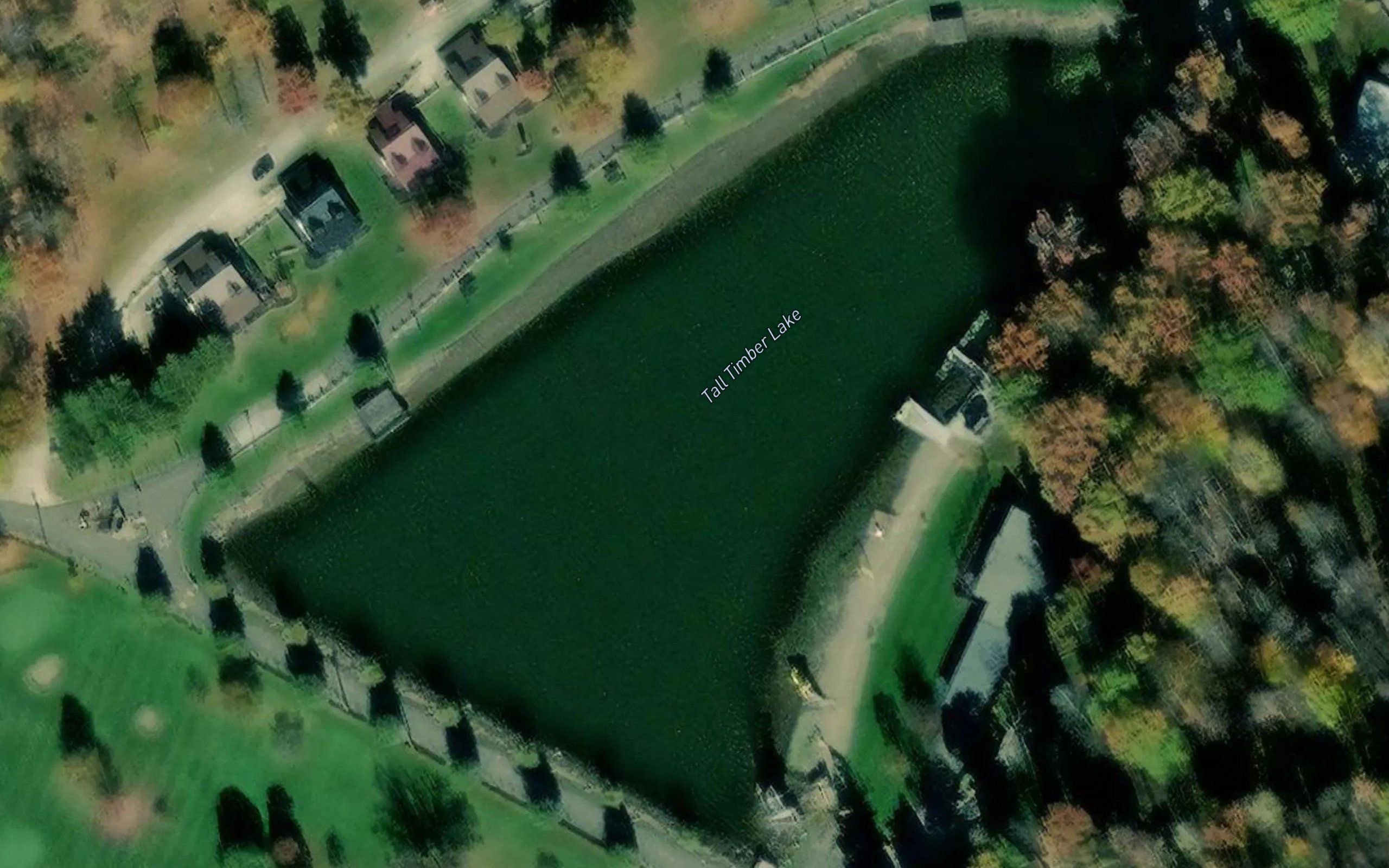 Tall Timber Lake