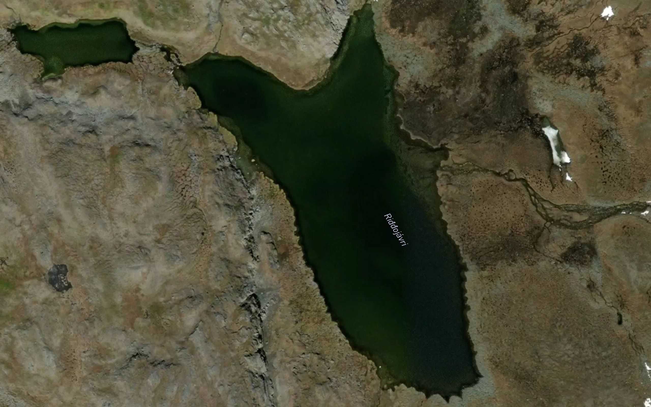 Riggujavri