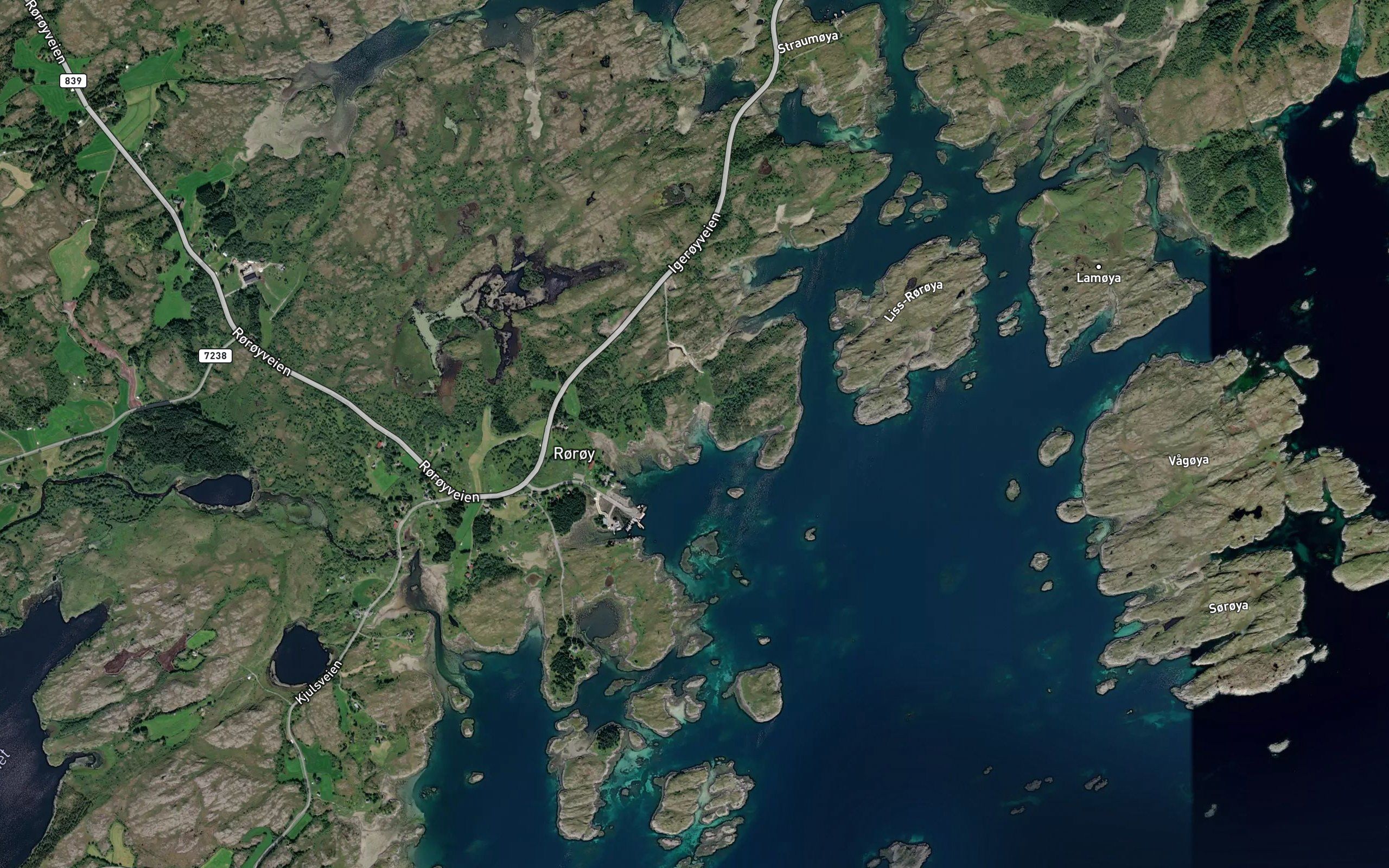 Jektvika