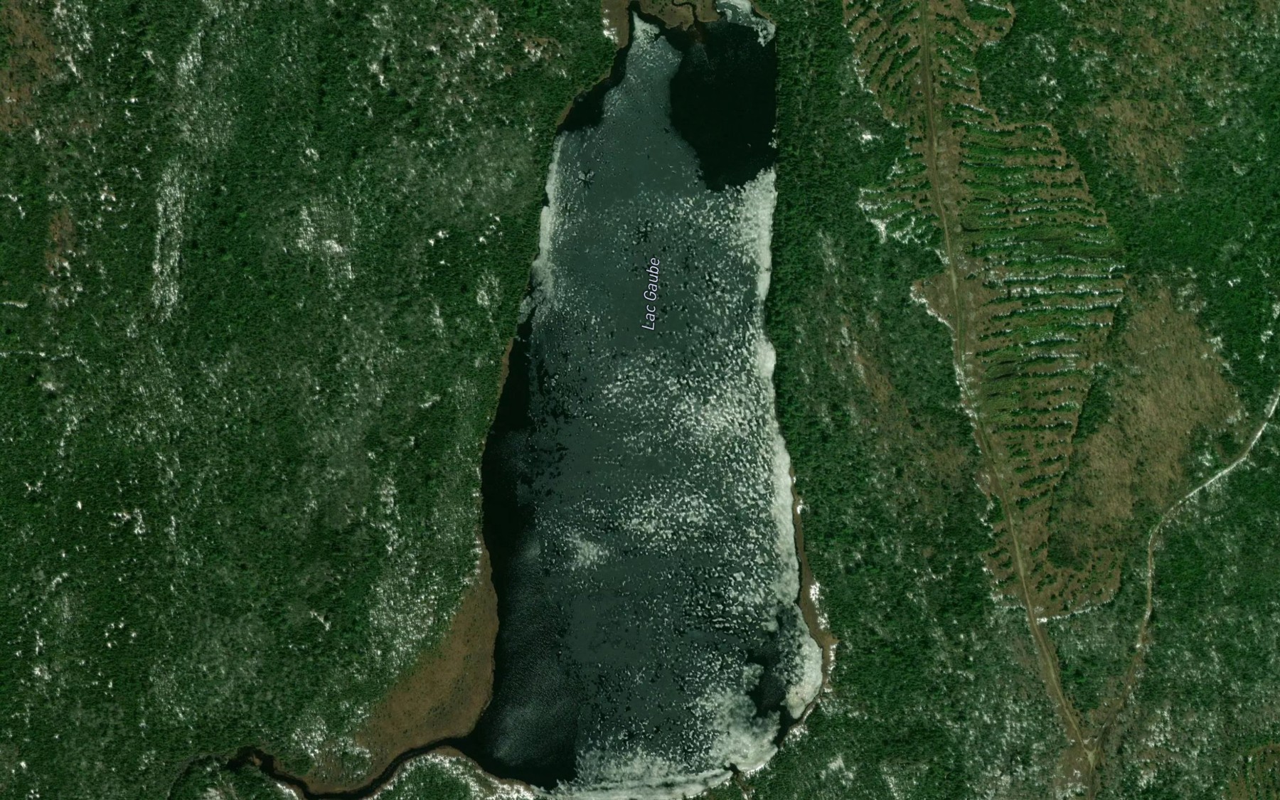 Satellite map of the Lac Gaube