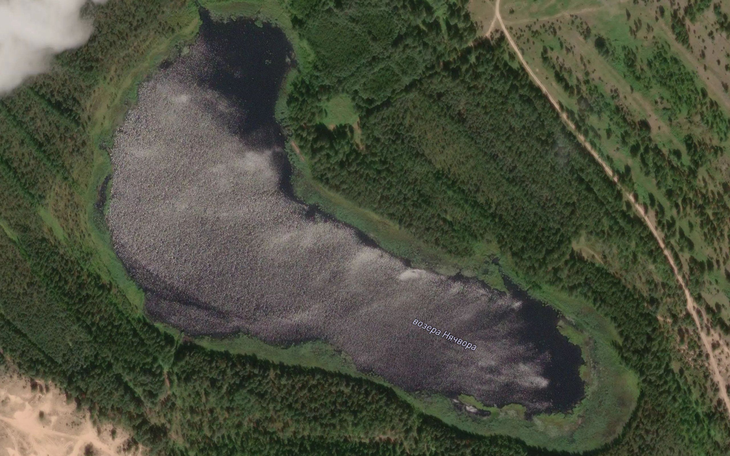 Ozero Nechvora