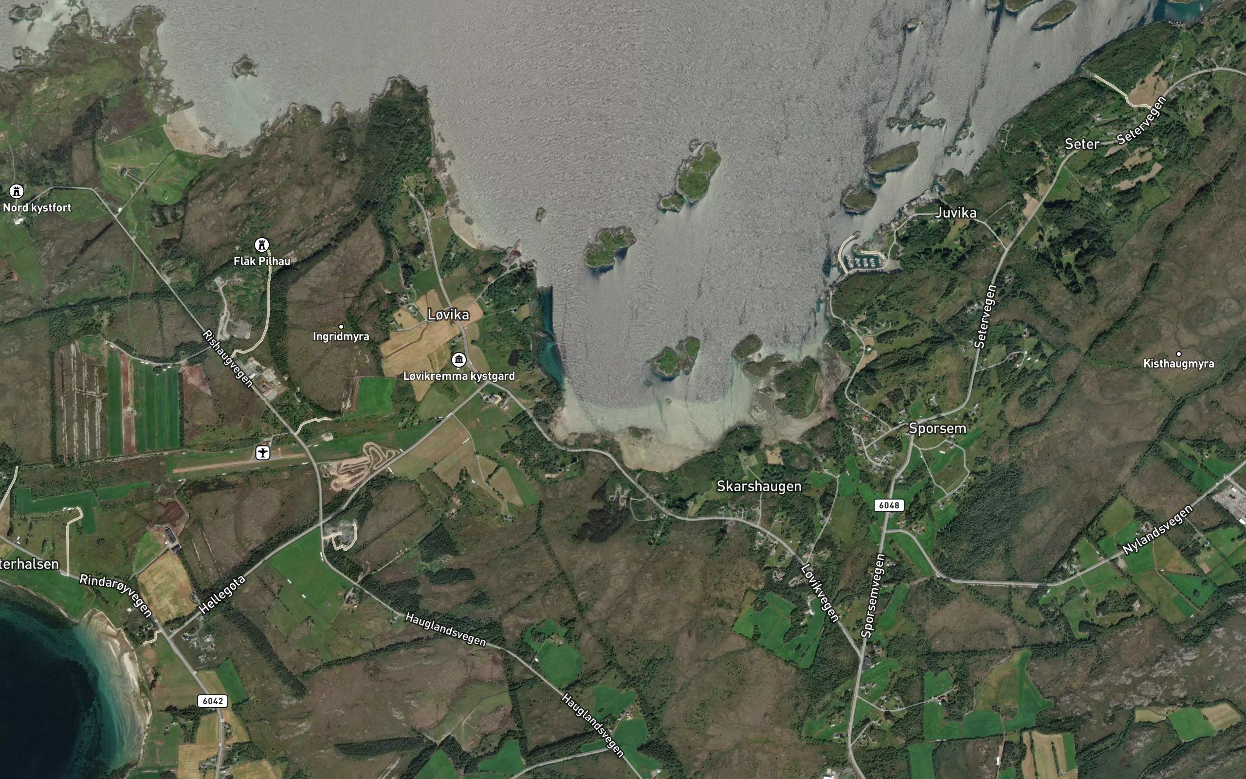 Lauvvika
