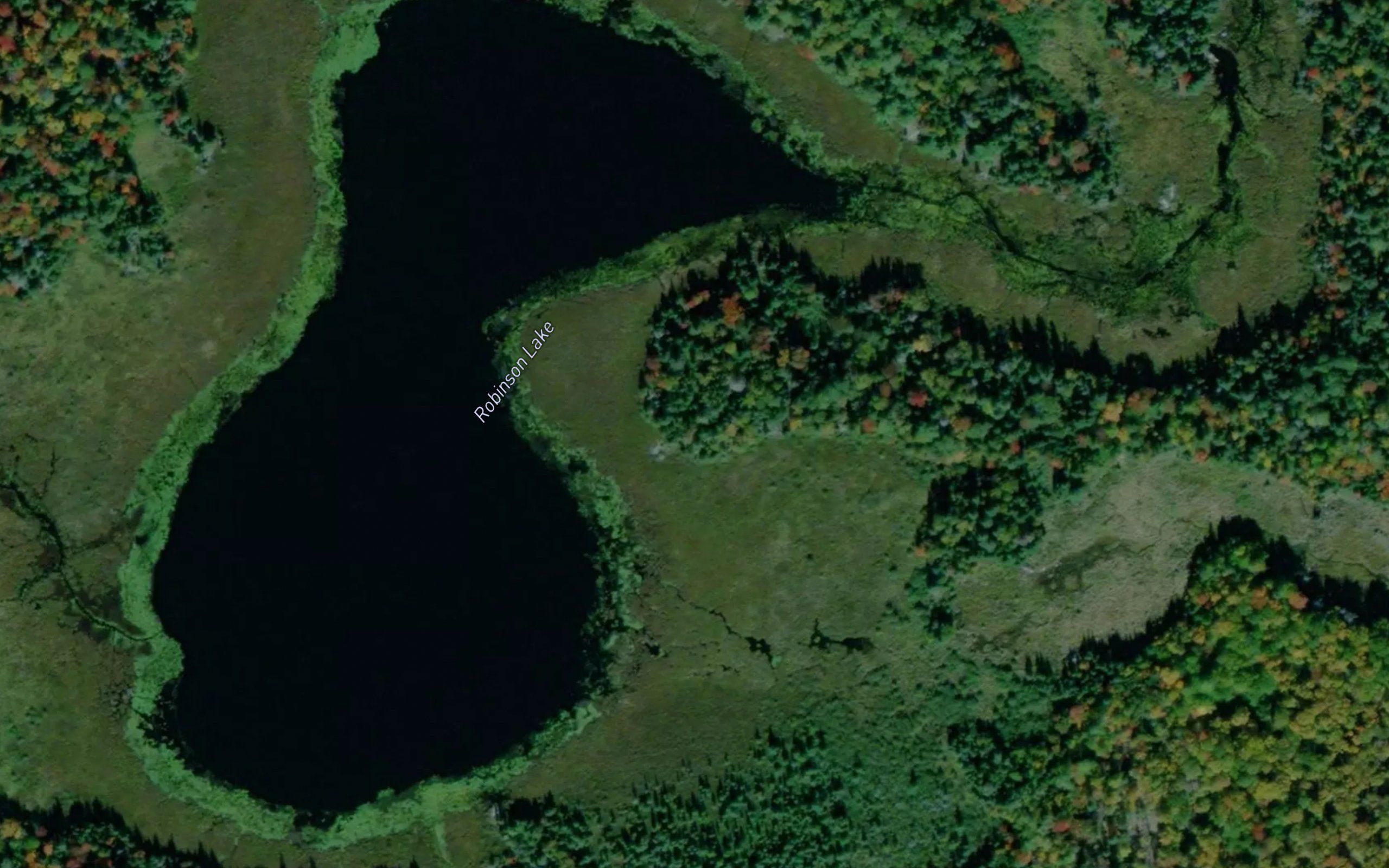 Robinson Lake
