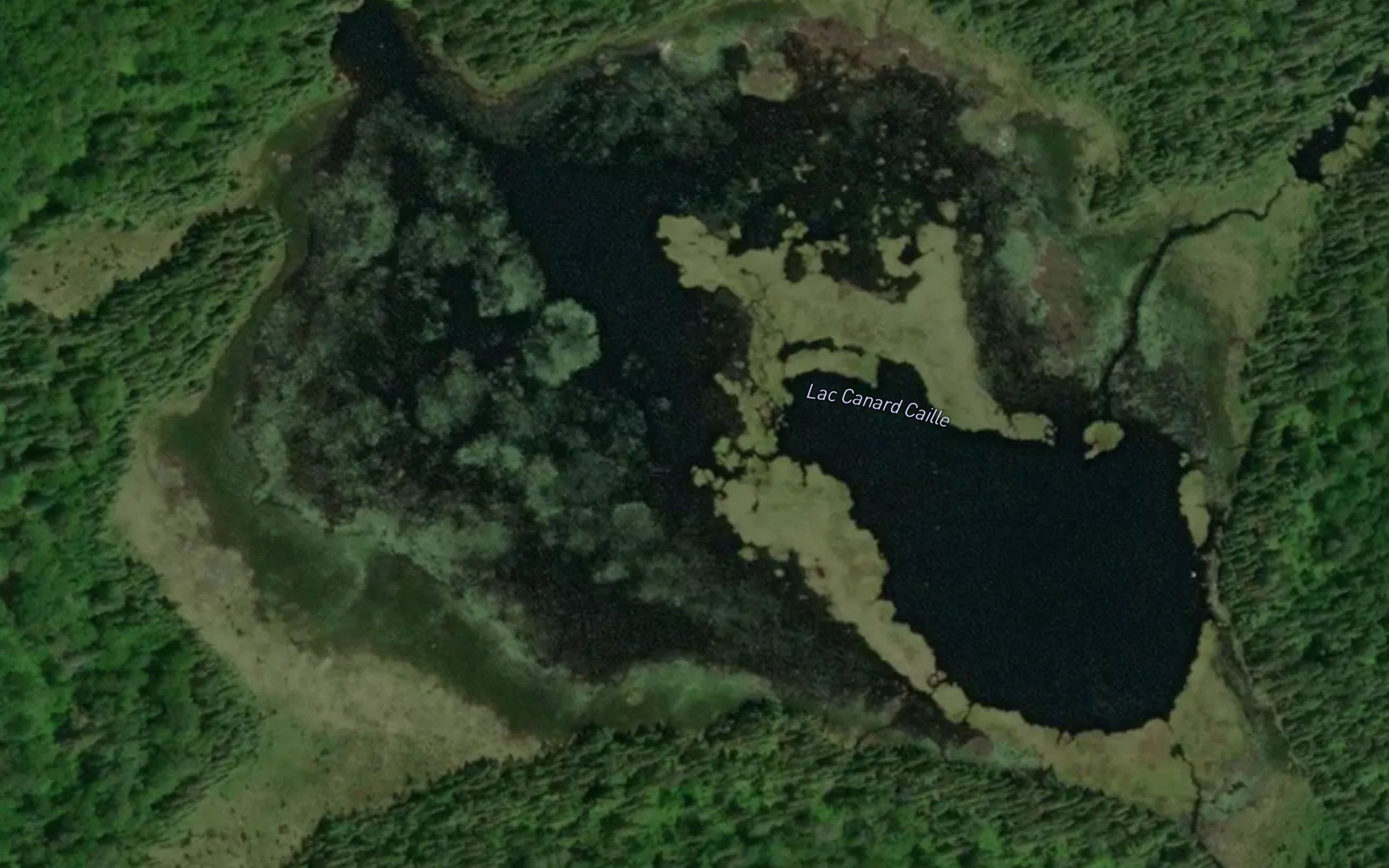 Lac Canard Caille