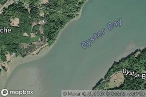 Oyster Bay