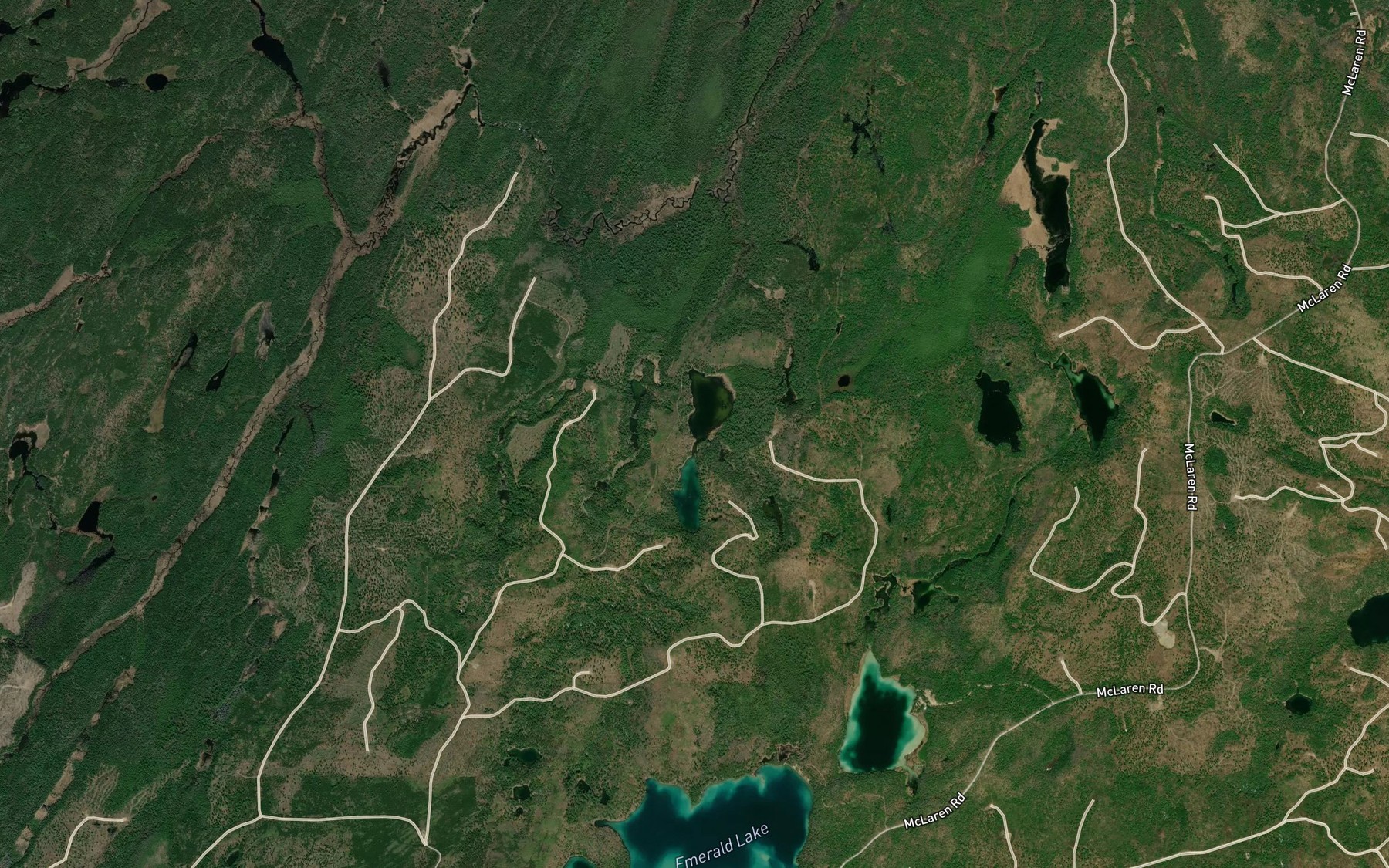 Satellite map of the Otter Lake