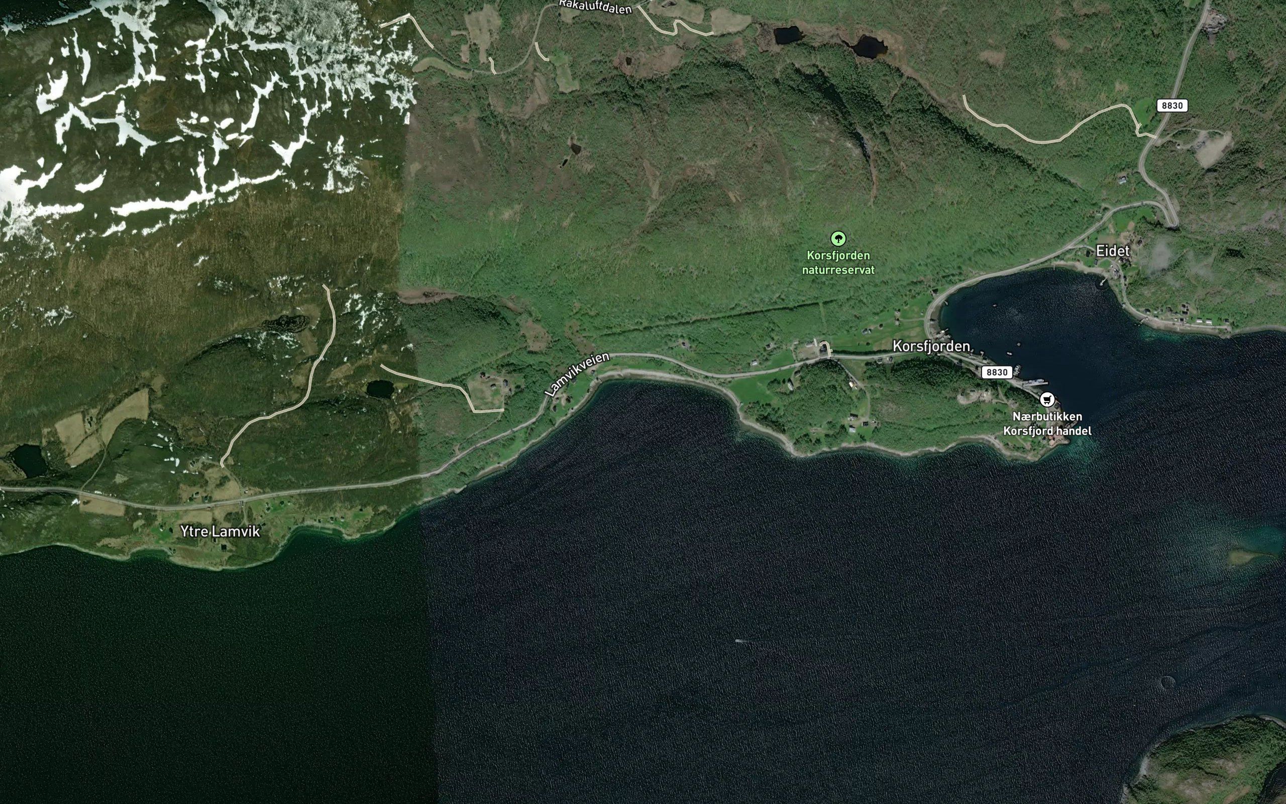 Kortbukt