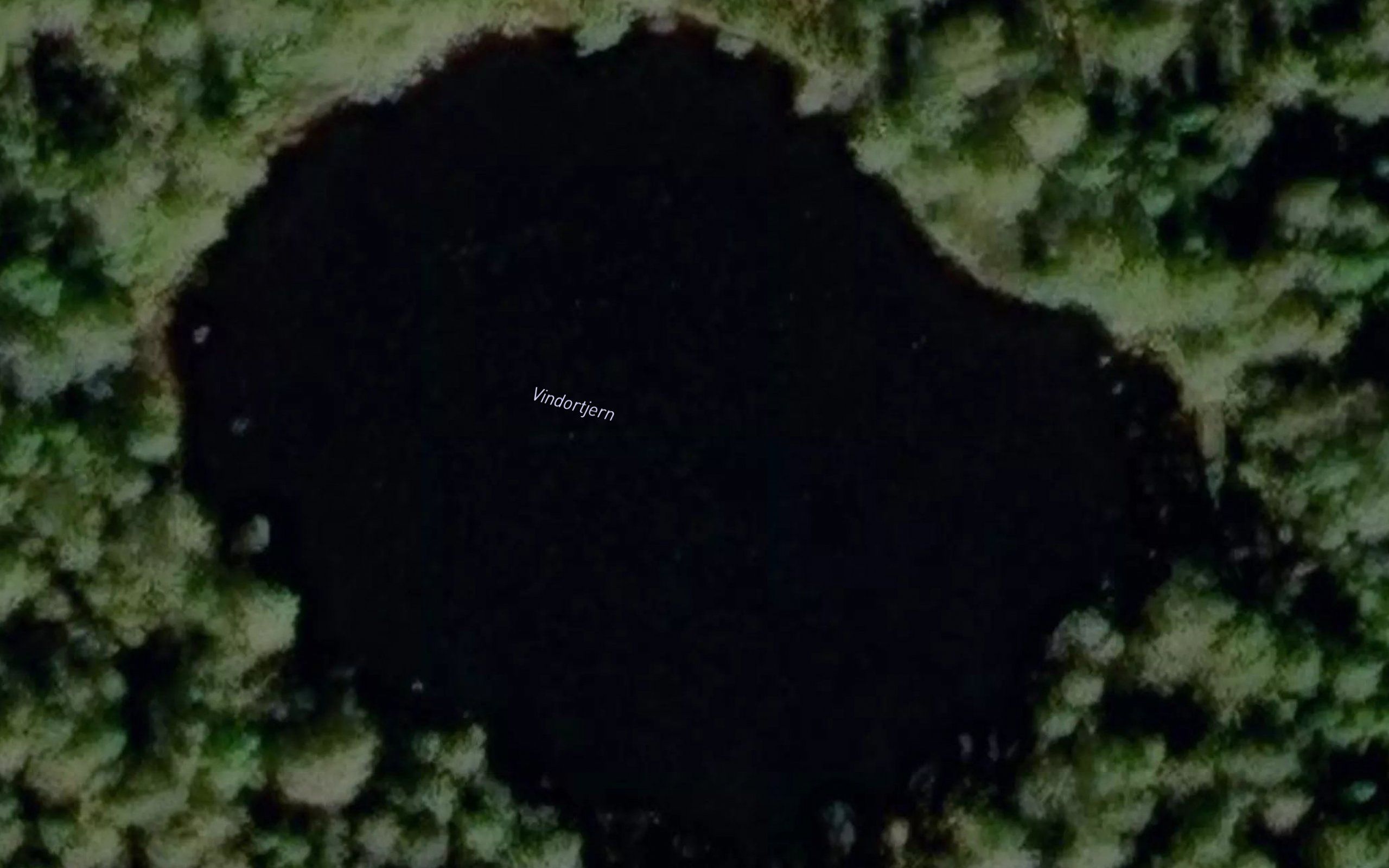 Vindortjern