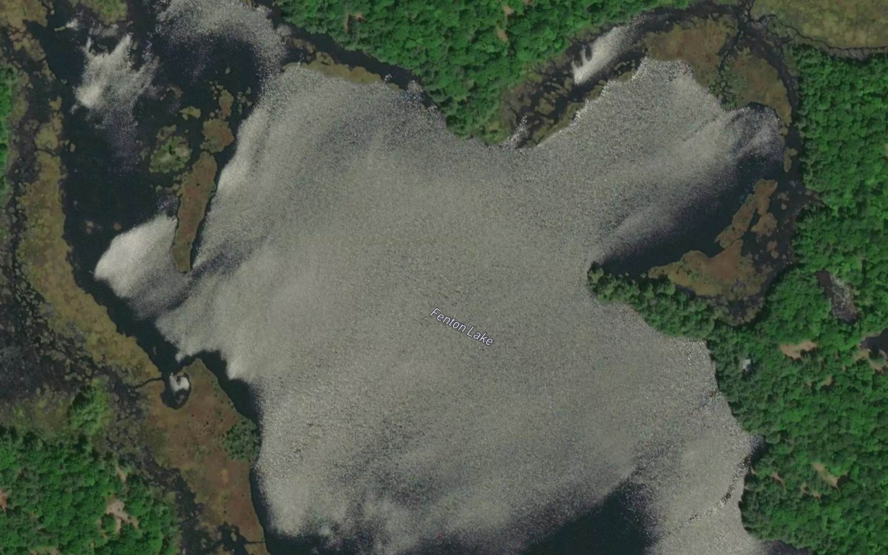 Satellite map of the Fenton Lake