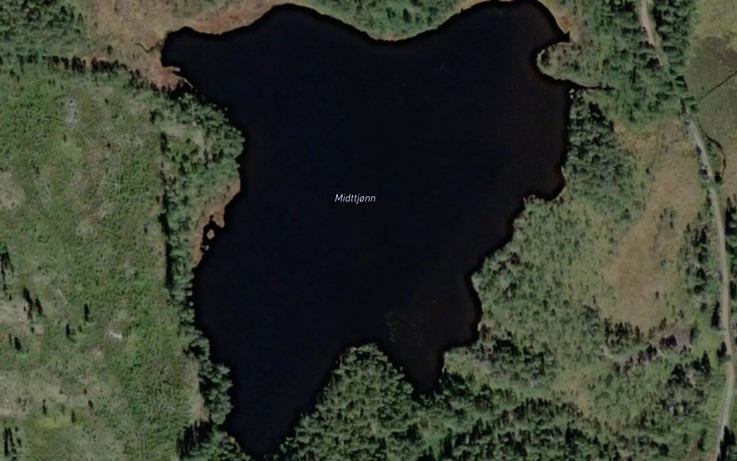 Midttjorn