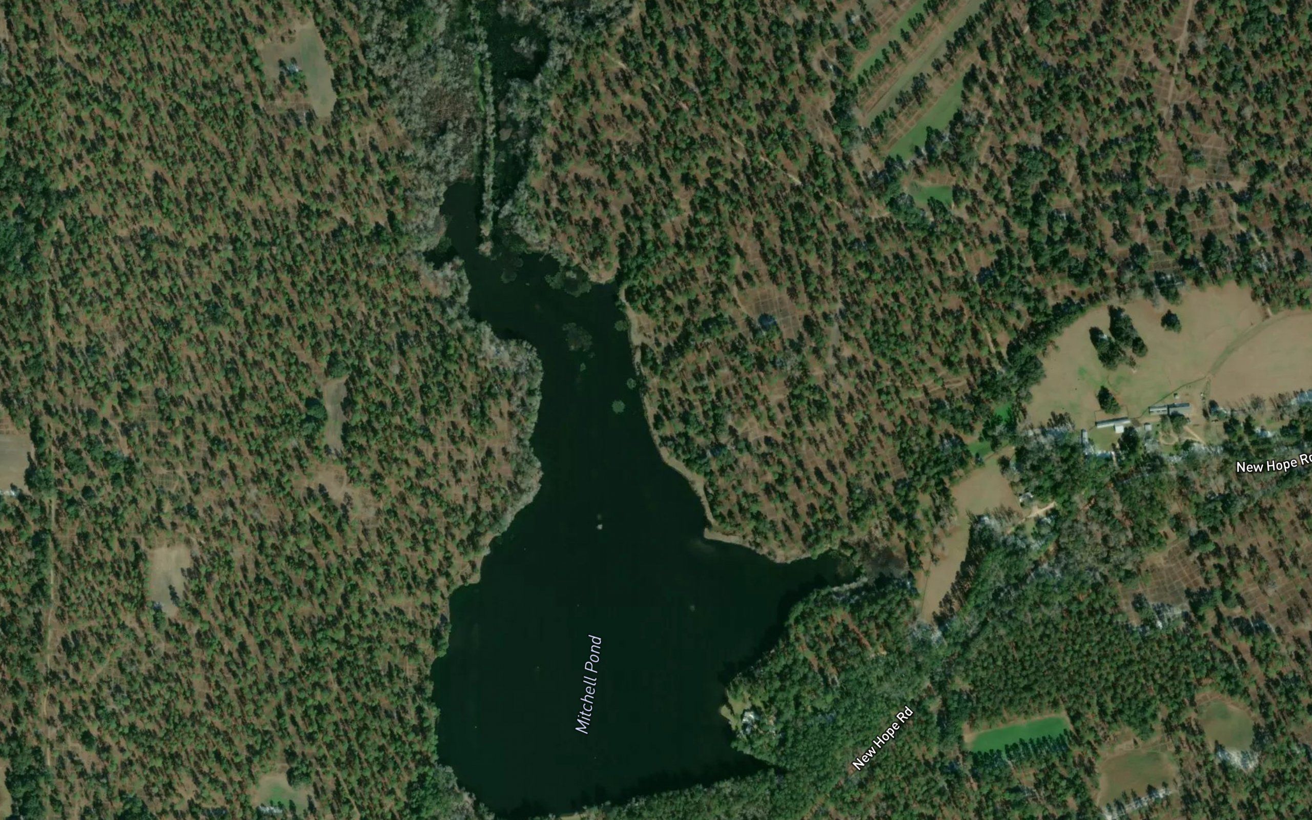 Mitchell Pond