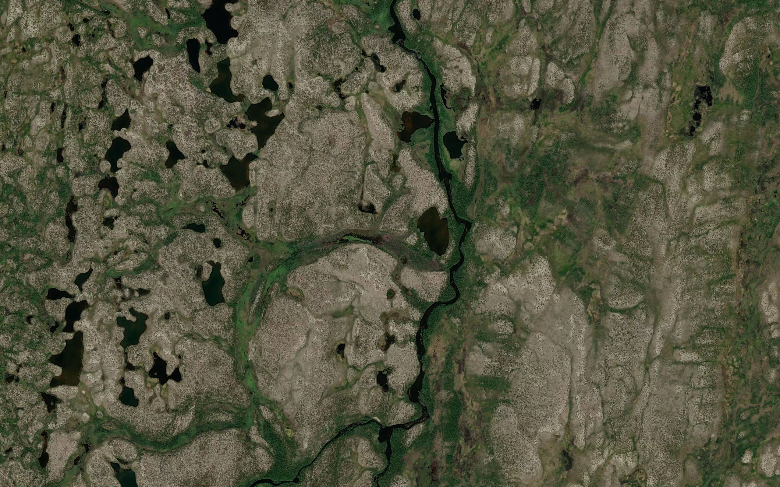 Askasjakka