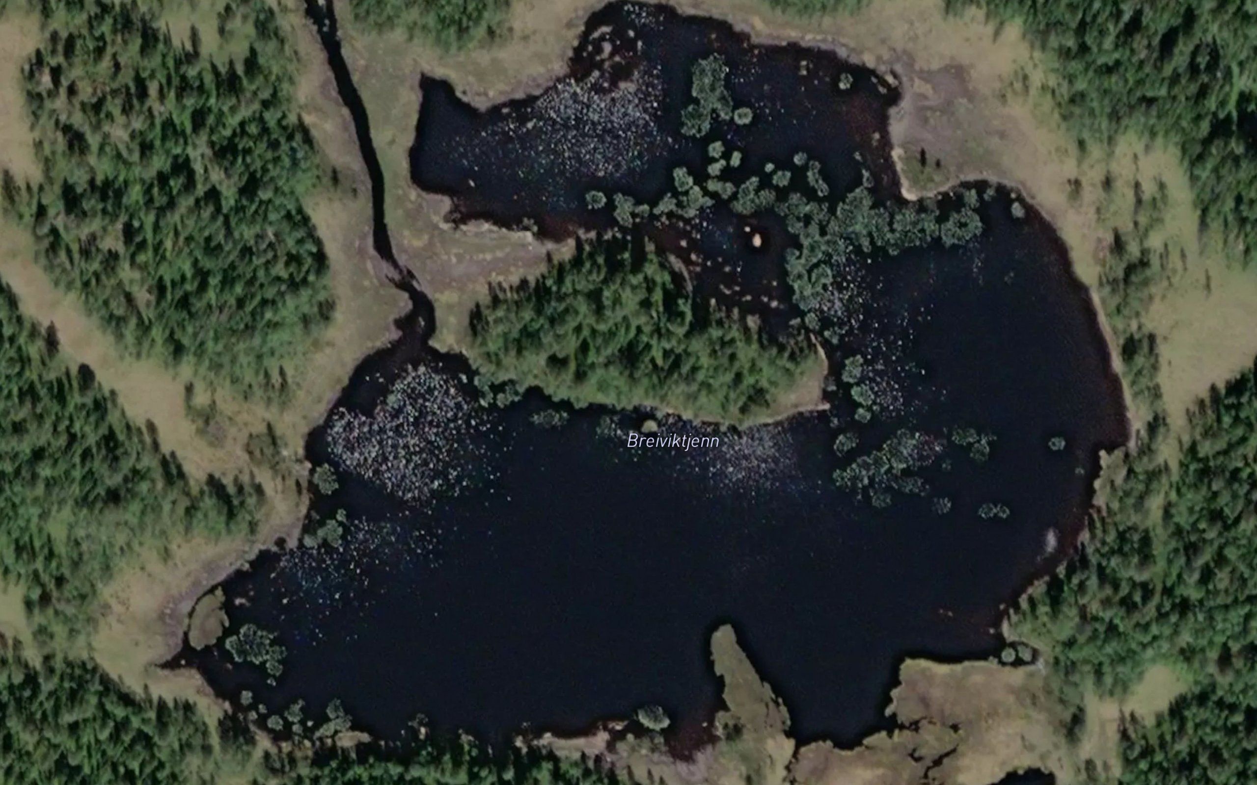 Breidviktjernet