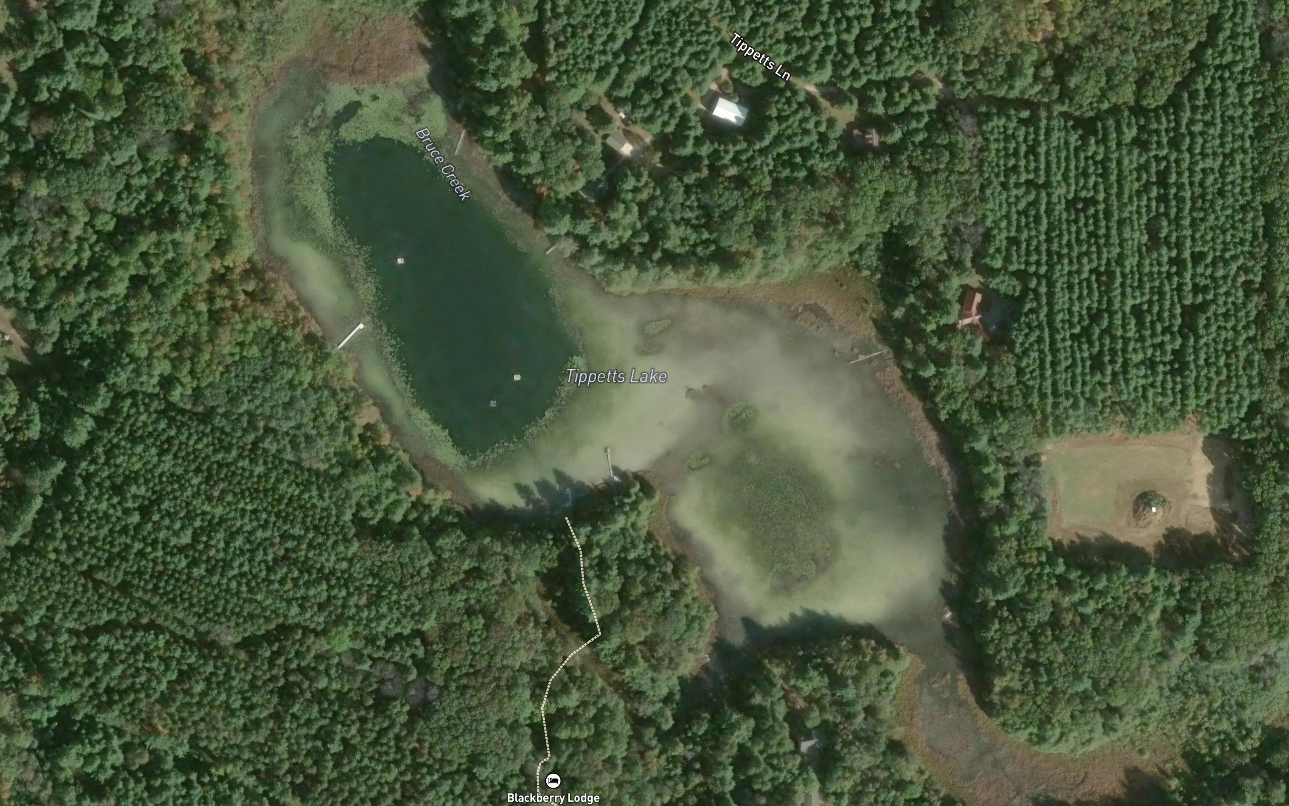 Tippetts Lake