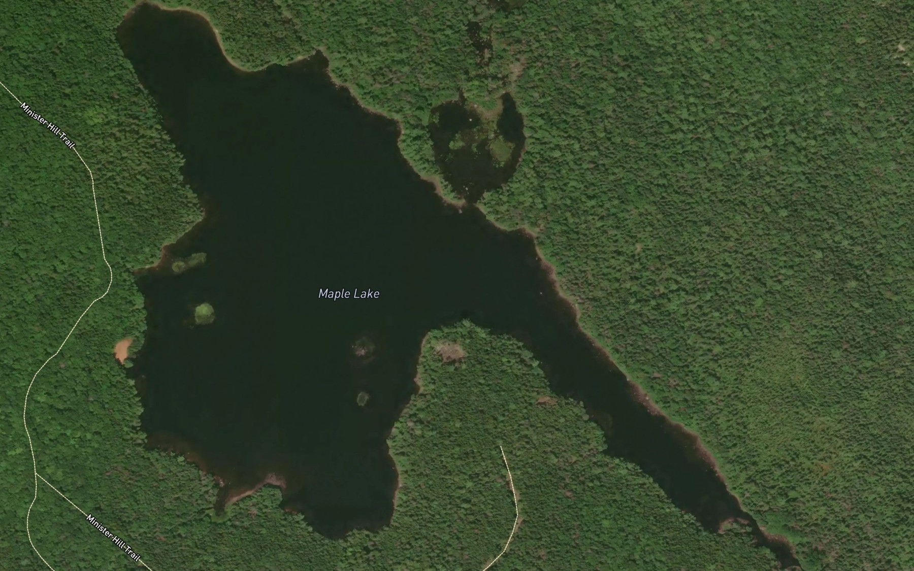 Satellite map of the Maple Lake