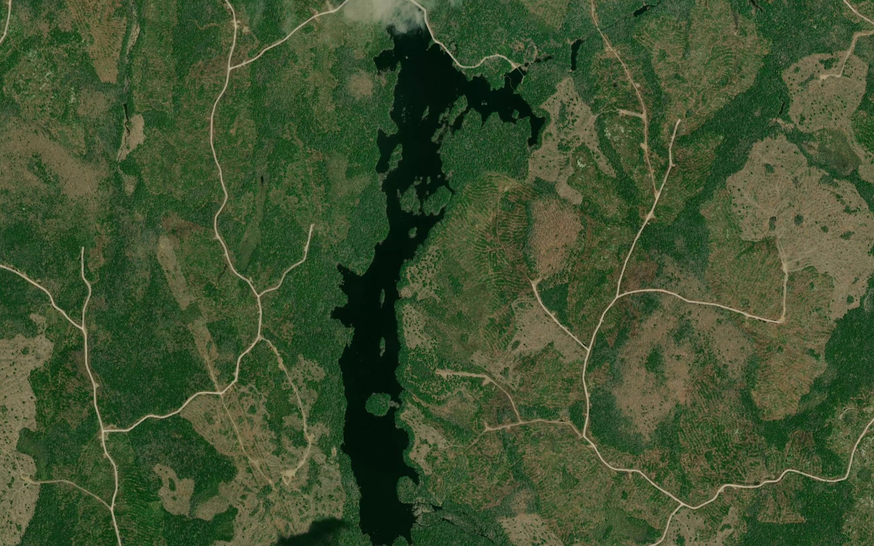 Satellite map of the Birch Hill Lake
