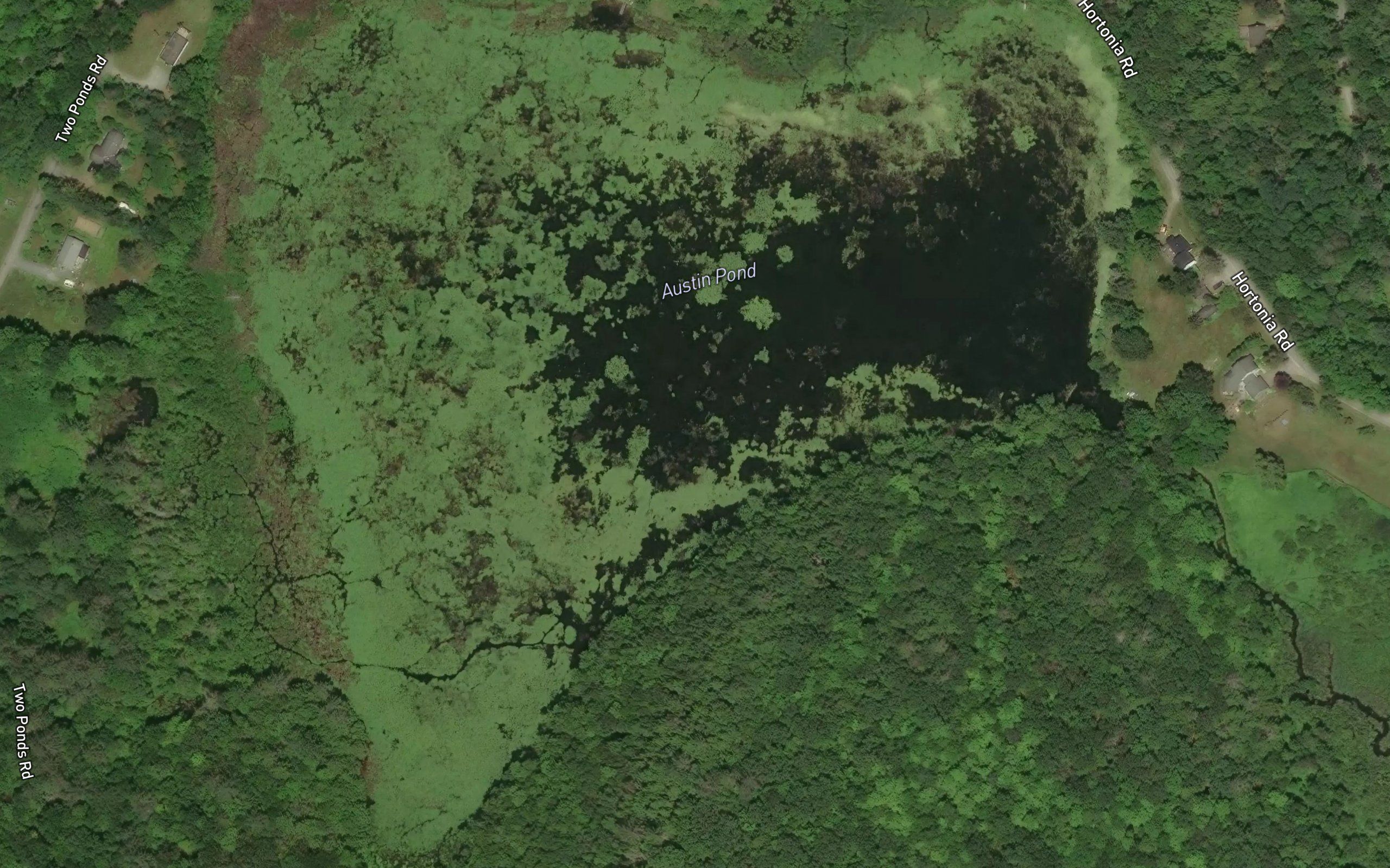 Austin Pond