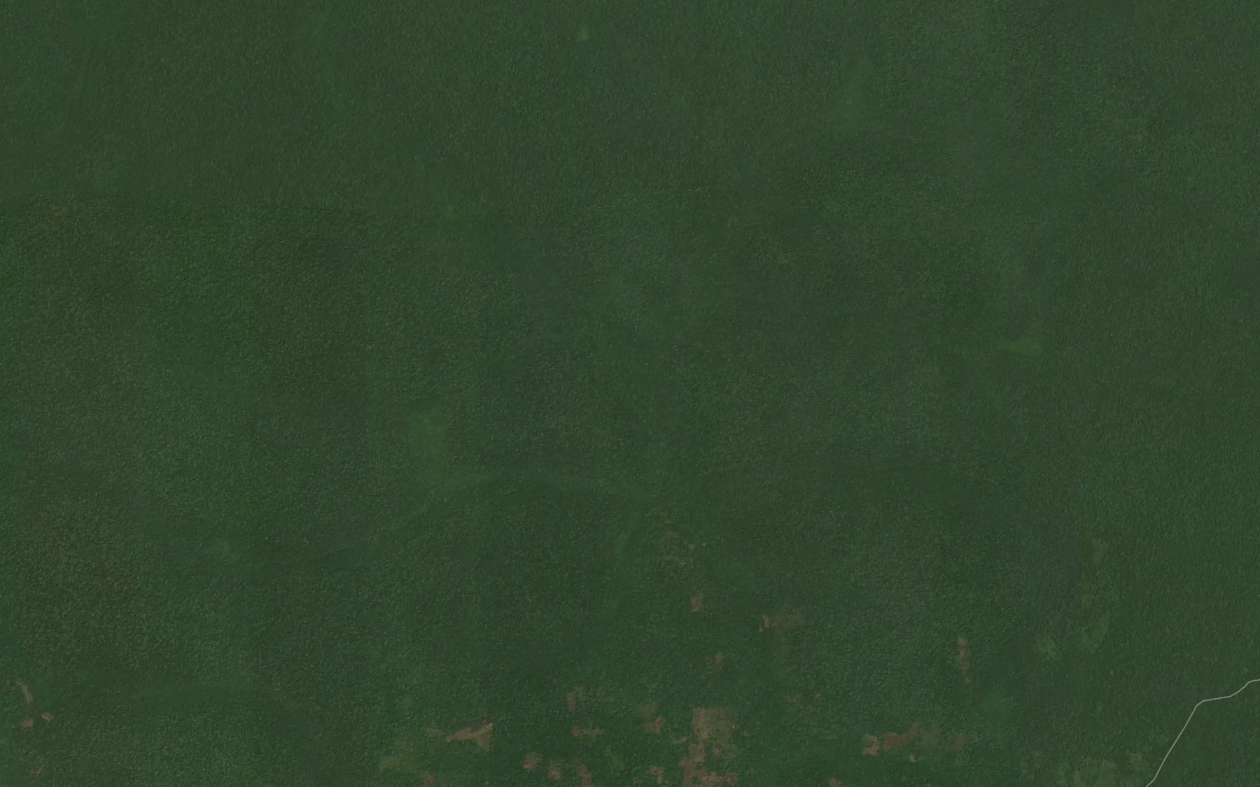 Satellite map of the Lobala