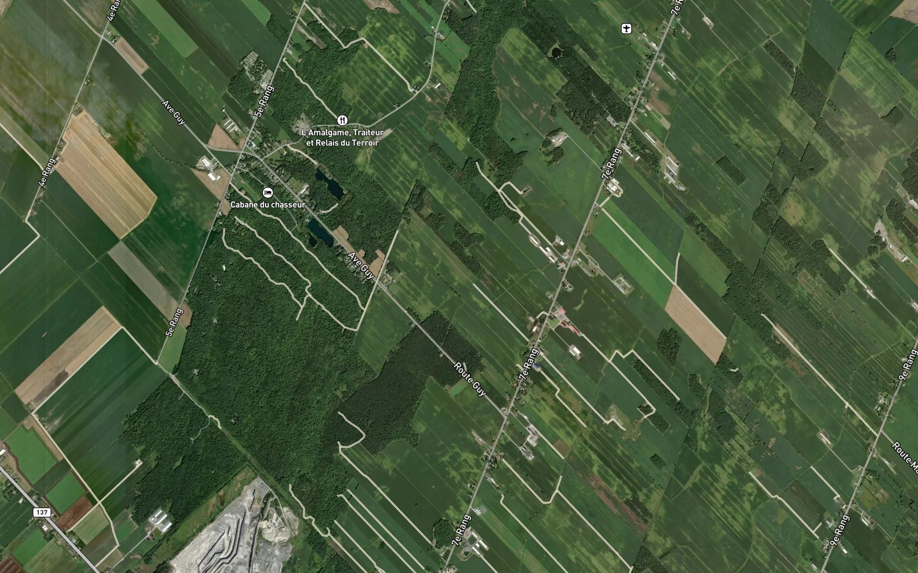 Satellite map of the Decharge des Dix