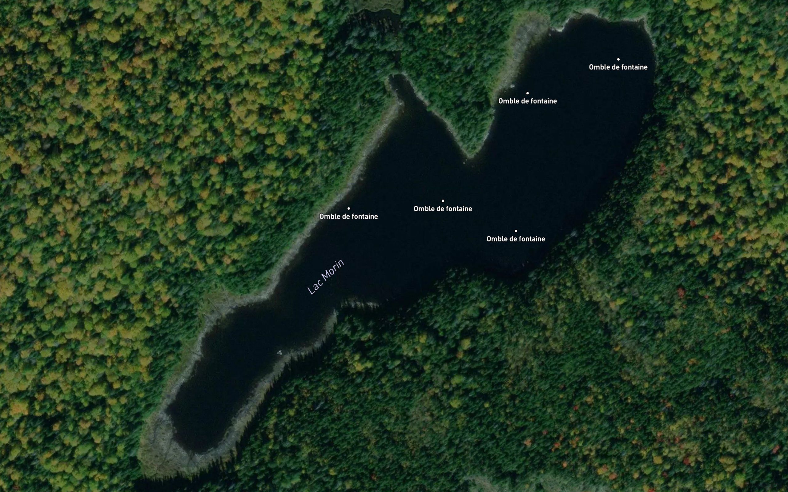 Lac Morin