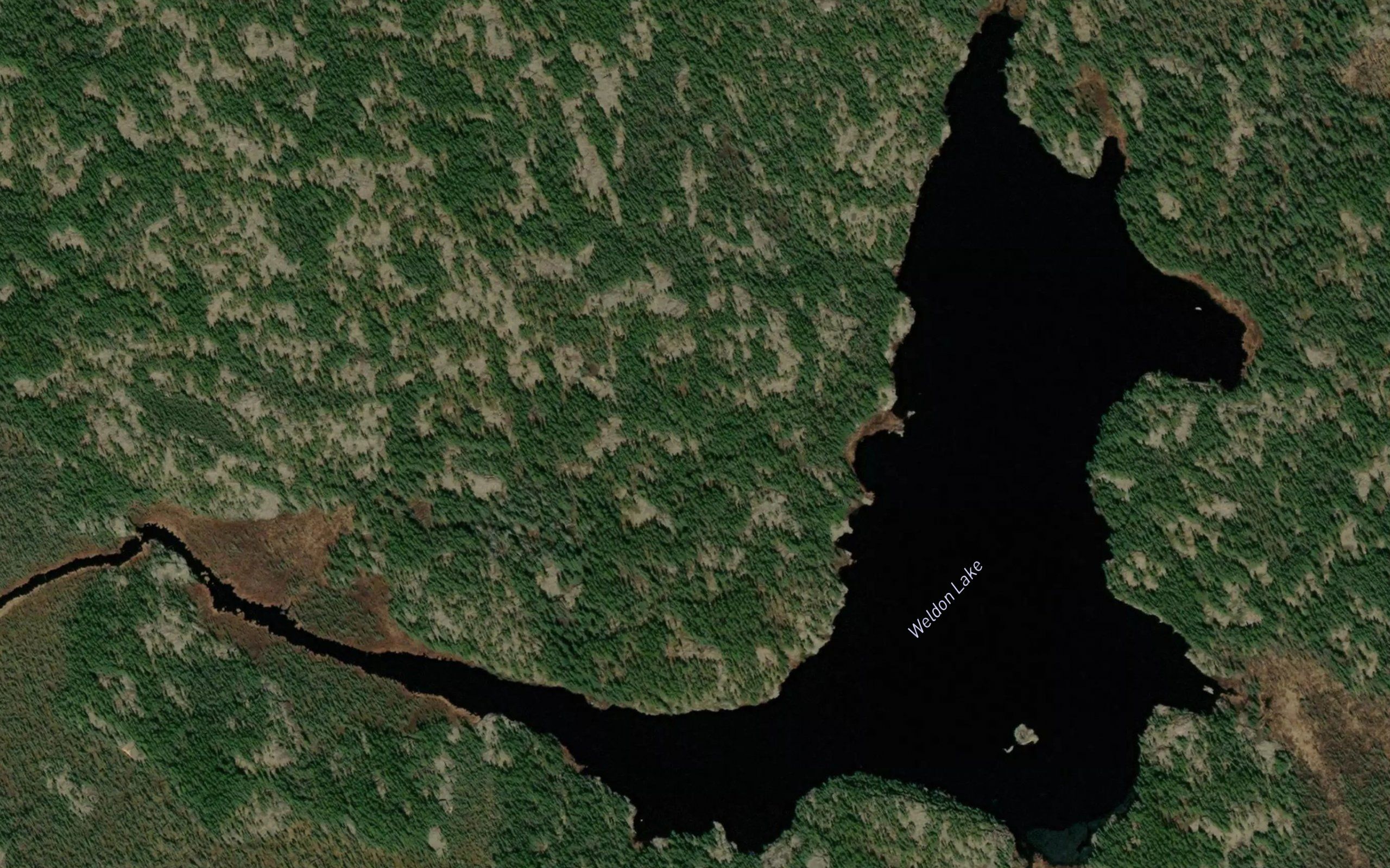 Weldon Lake