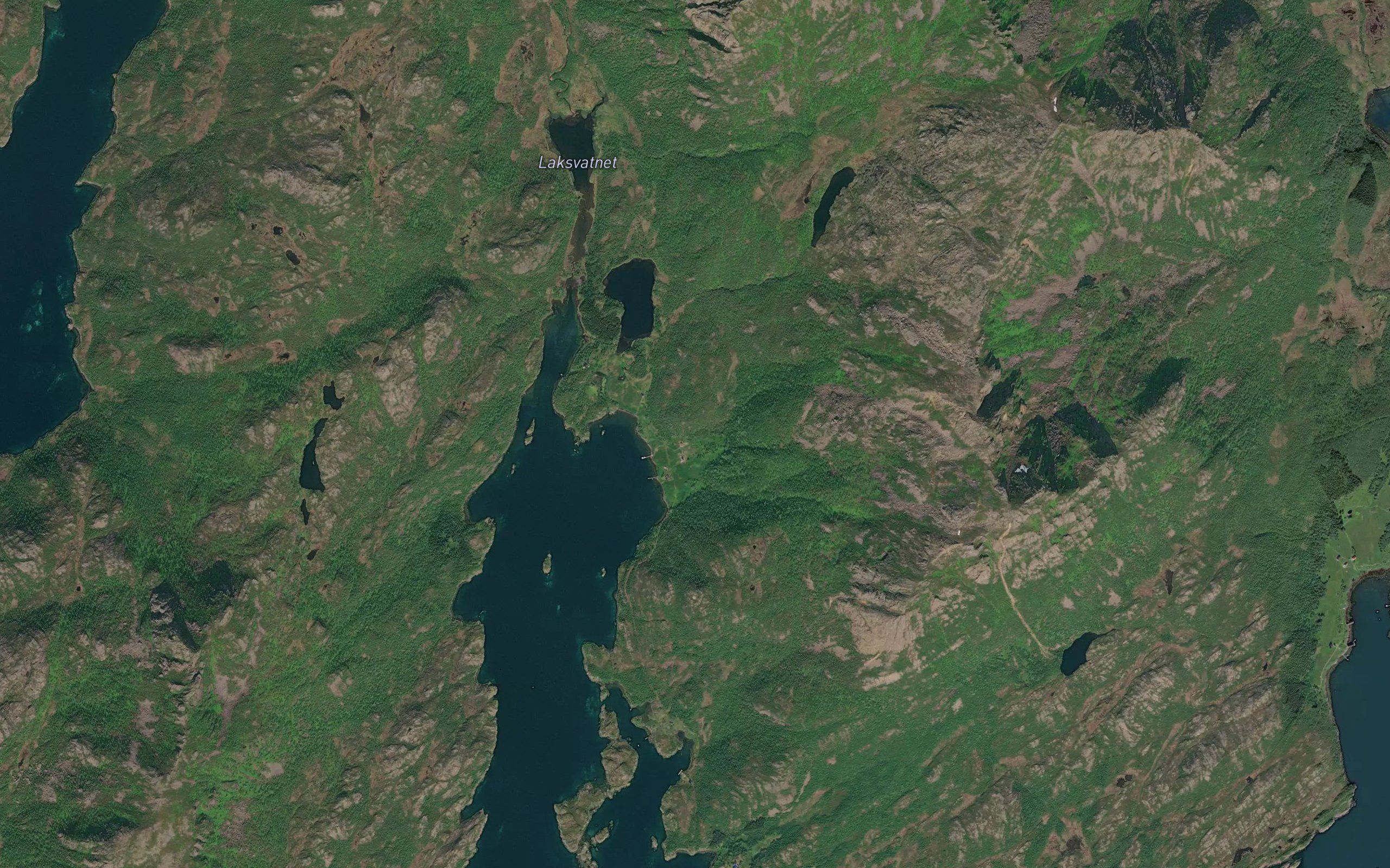Palelva
