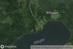 Villsjon