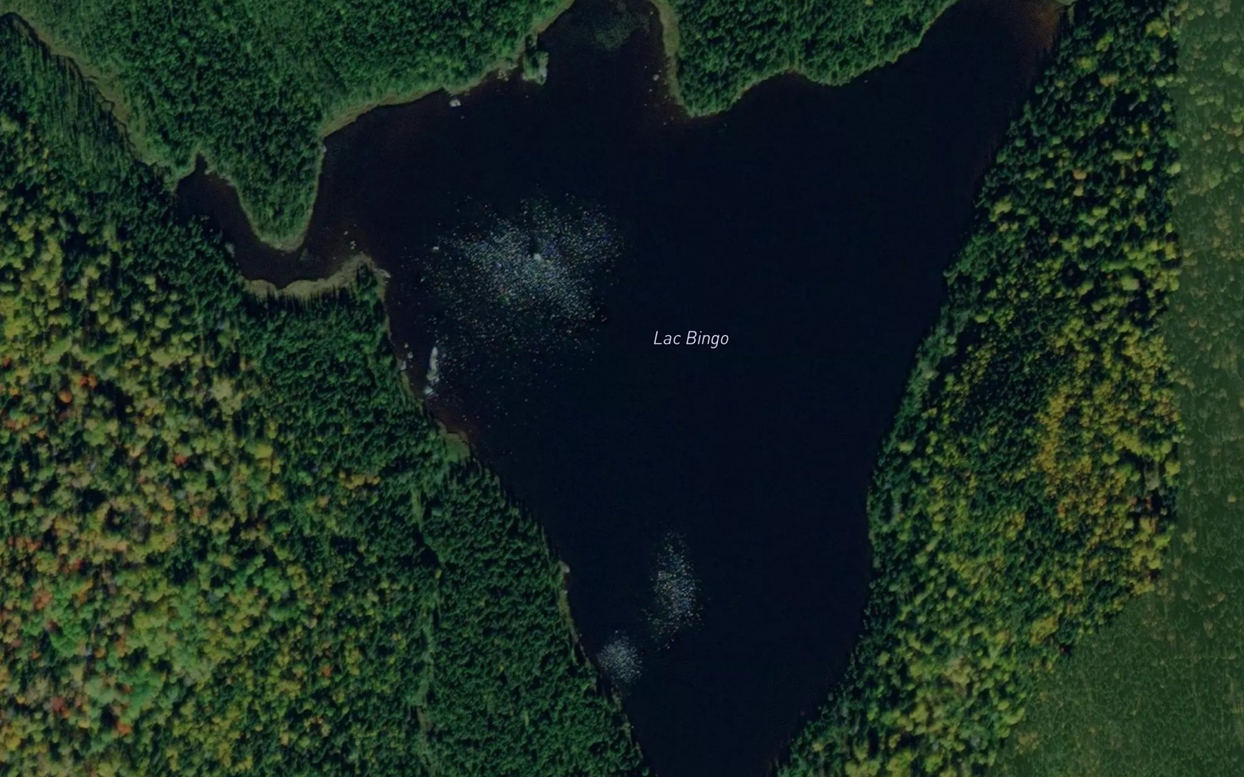 Satellite map of the Lac Bingo