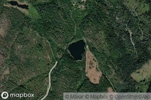Lauvtjorn