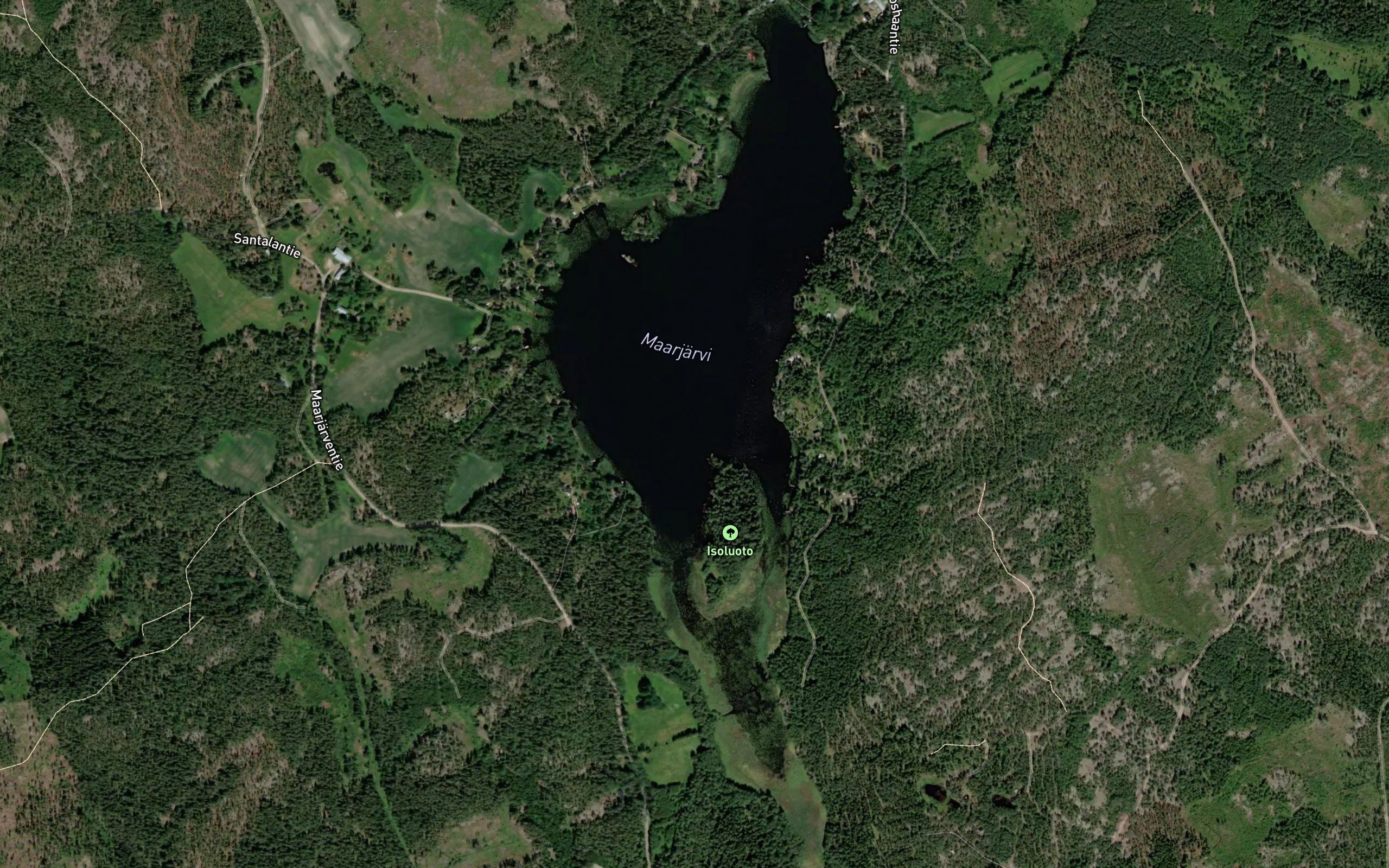 Maarjaervi