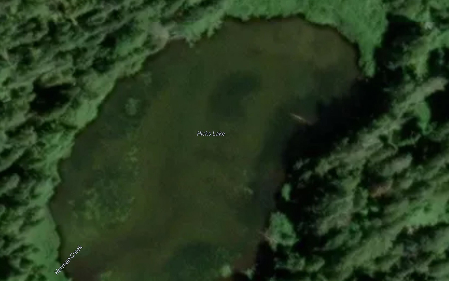 Satellite map of the Hicks Lake