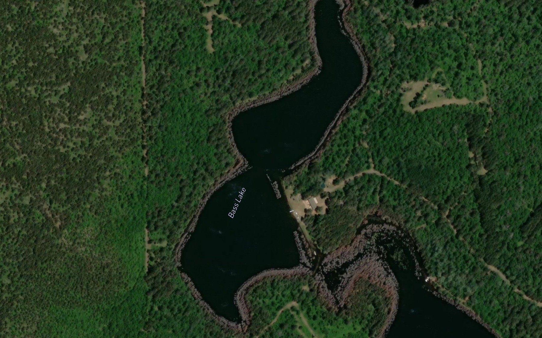 Satellite map of the Bass Lake