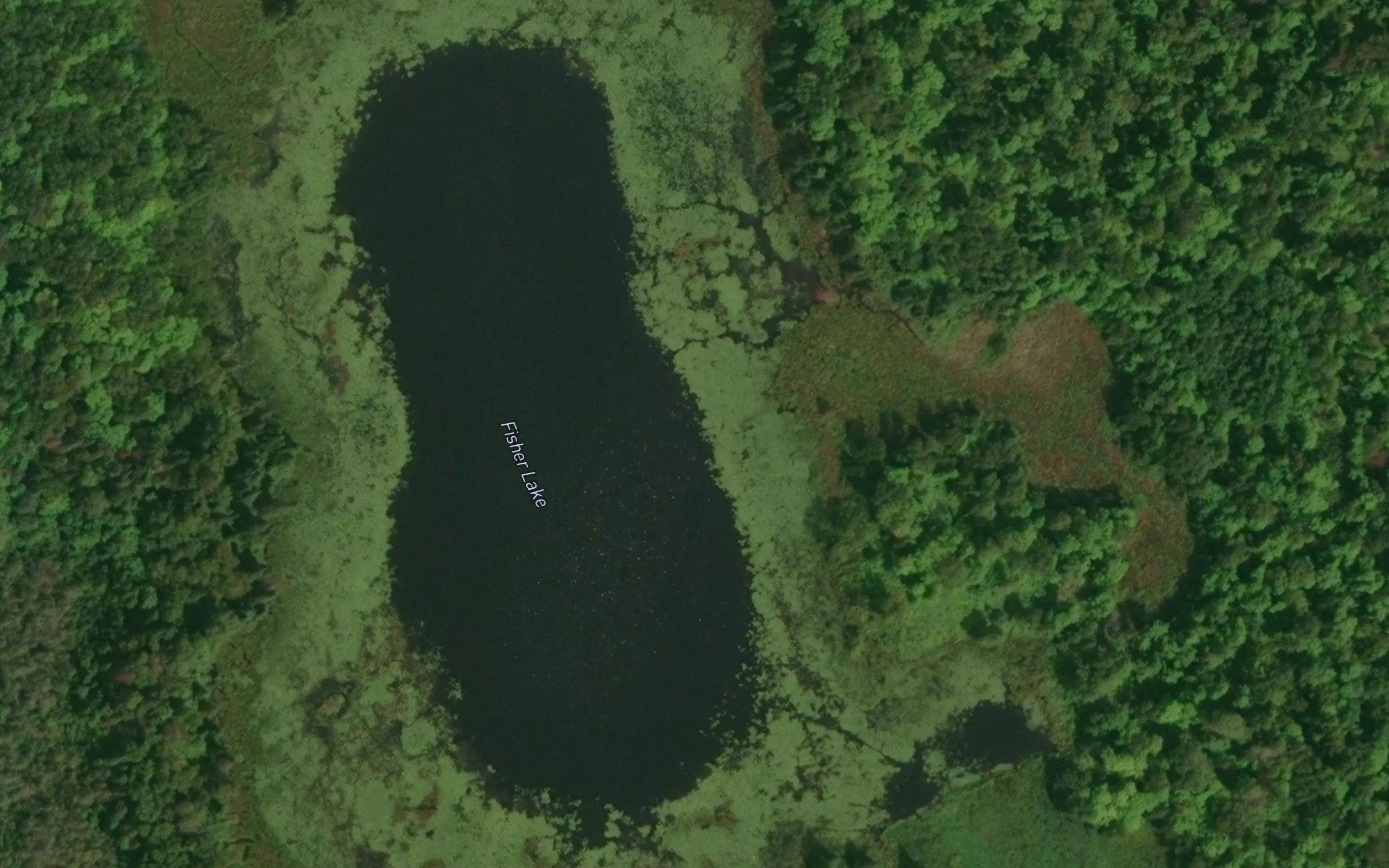 Fisher Lake