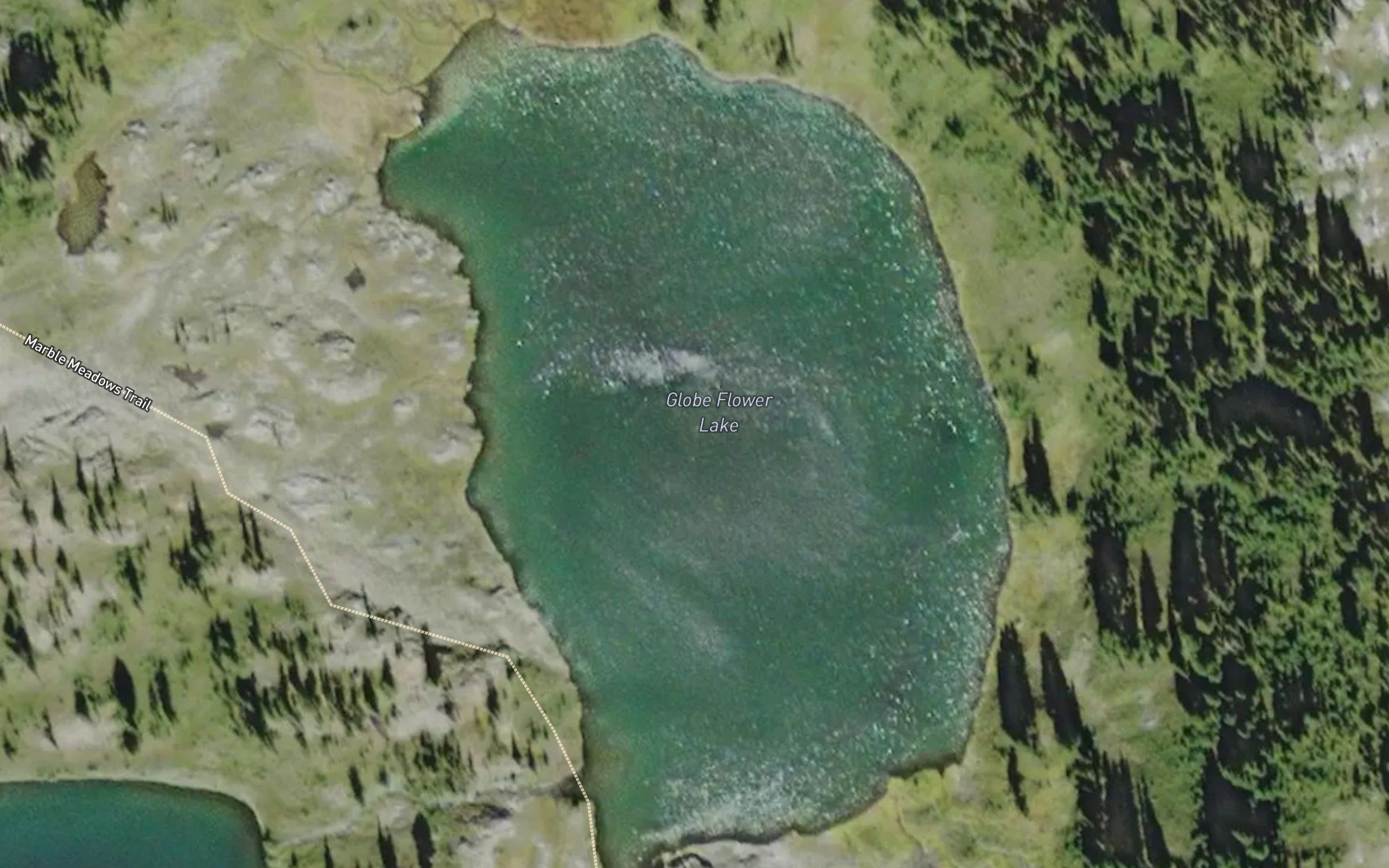 Globe Flower Lake